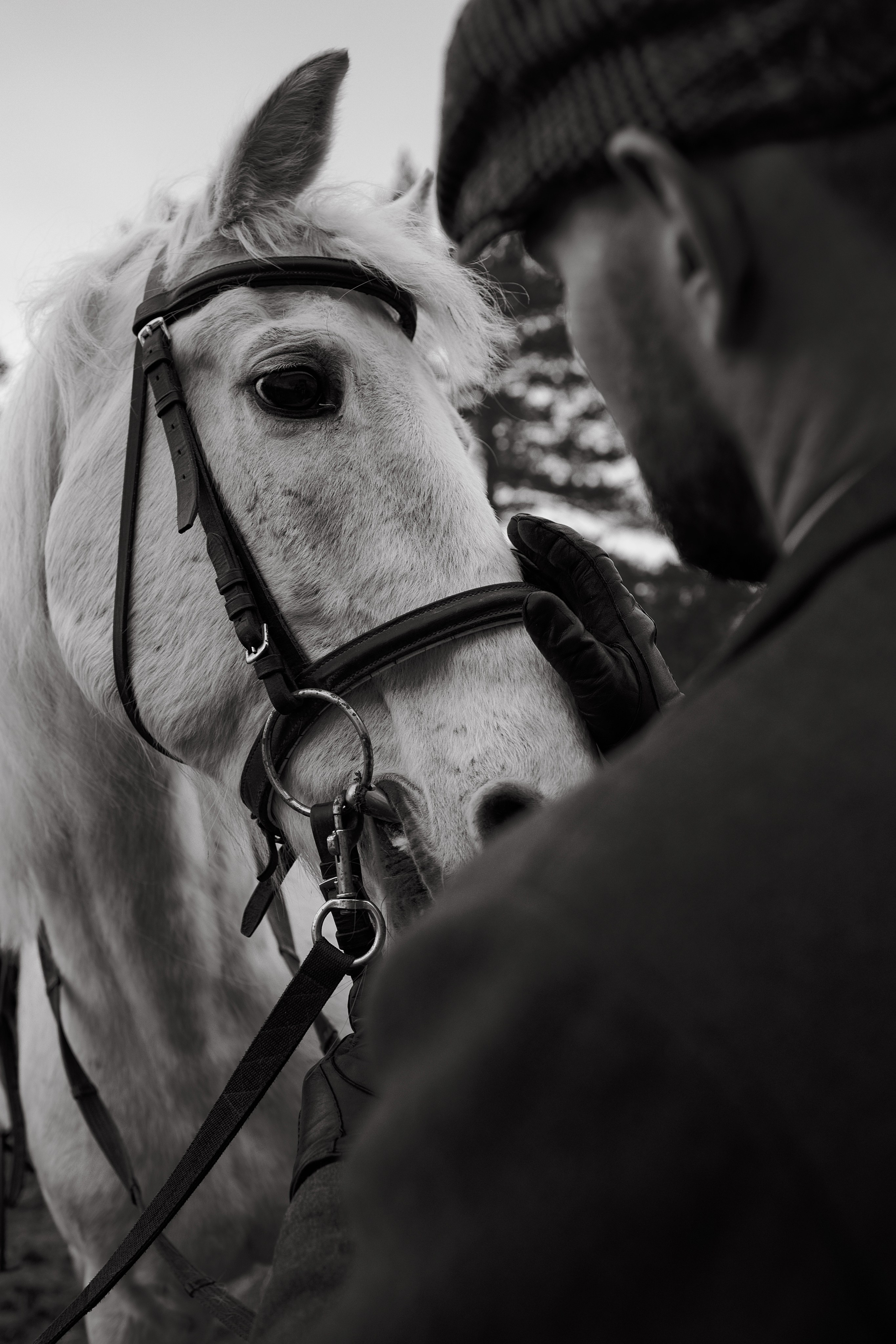 Ivan Leokhin. Фотограф Челябинск Эвелина Ганага, съемка для бизнеса и маркетплейсов