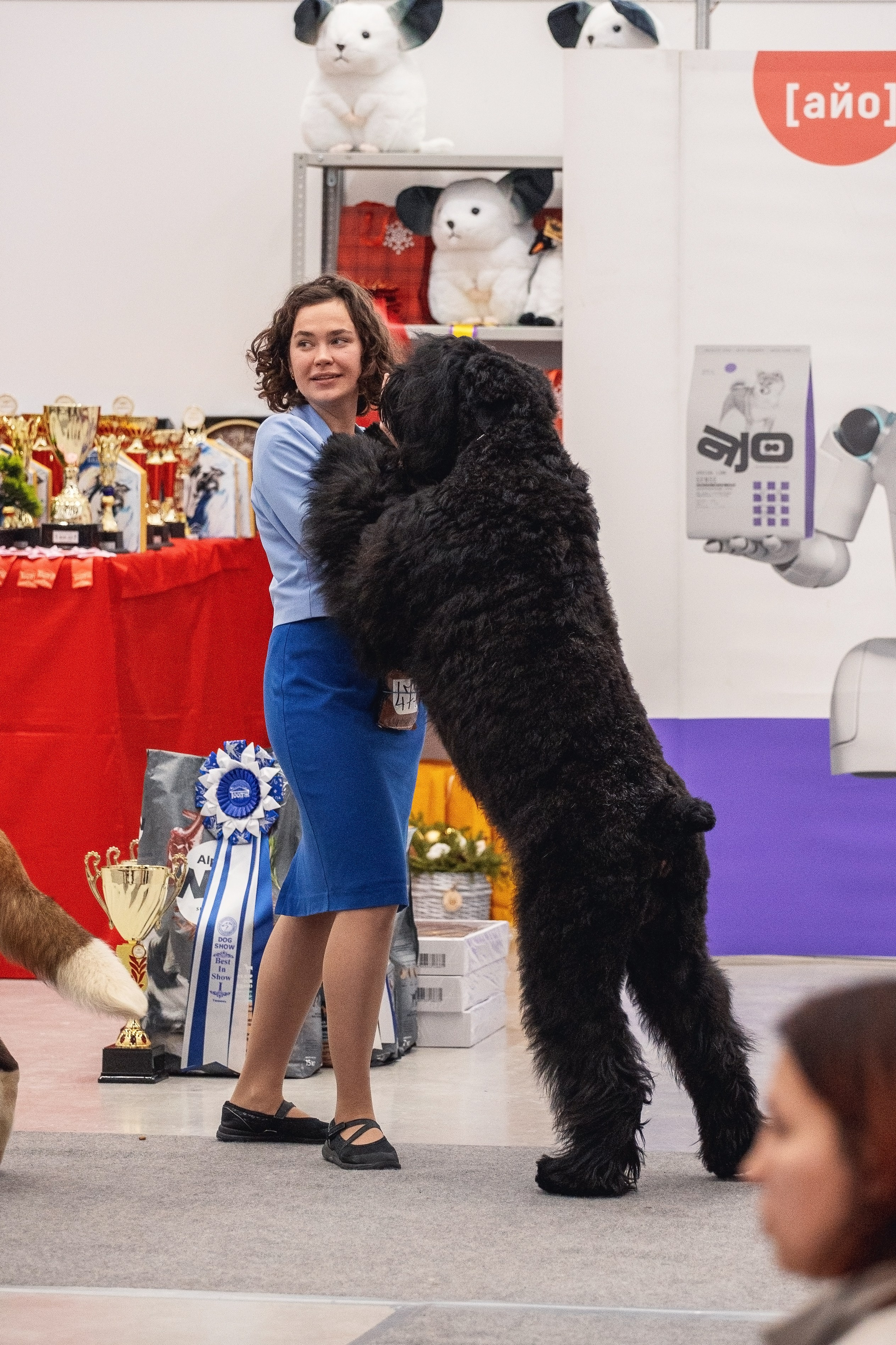 20.01. 2024 Тюмень. YULA KOLESOVA | Фотограф — Анималист | Художник | Тюмень