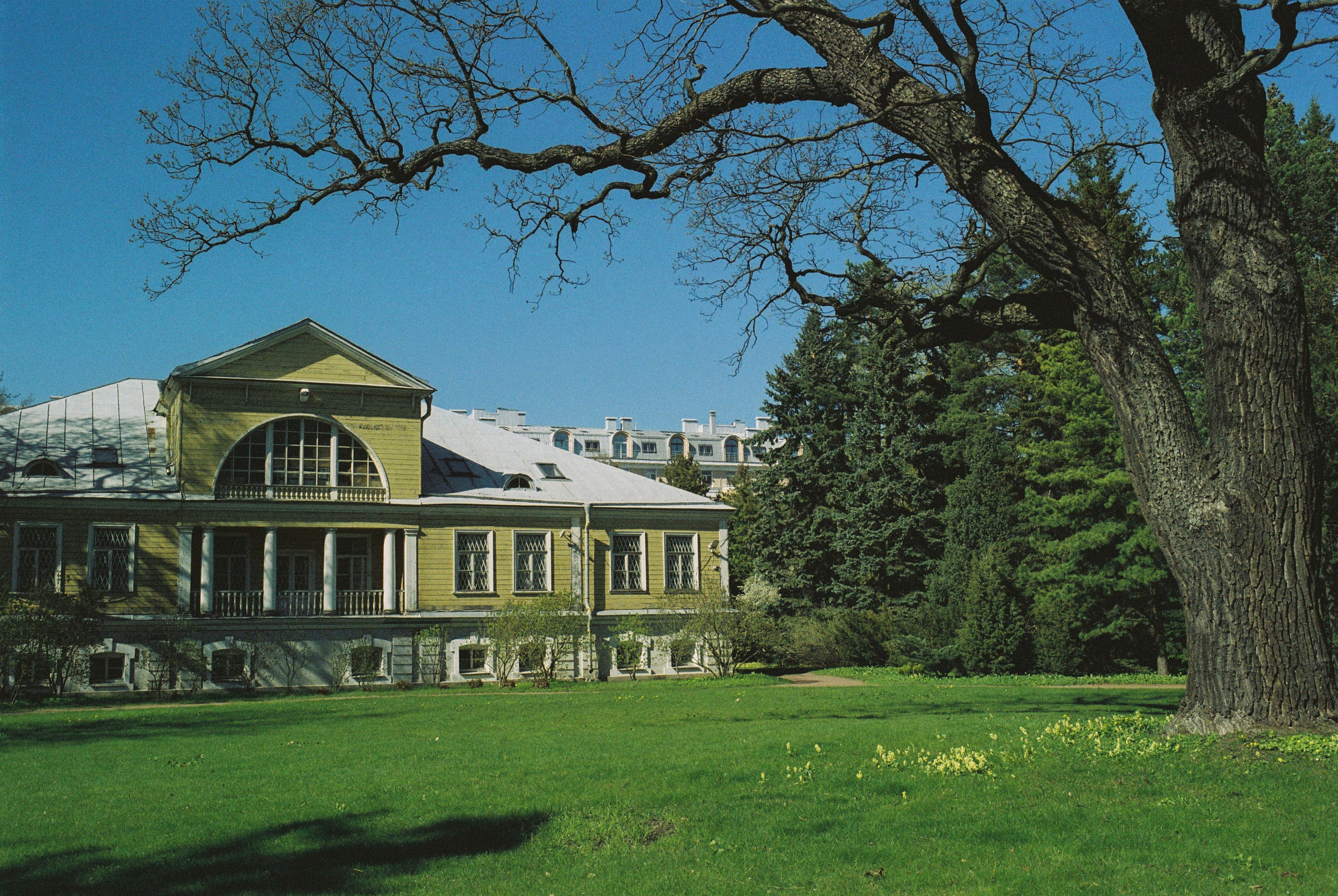 Плёночная весна 2025. Илья Михачёв Фотограф ПРО людей