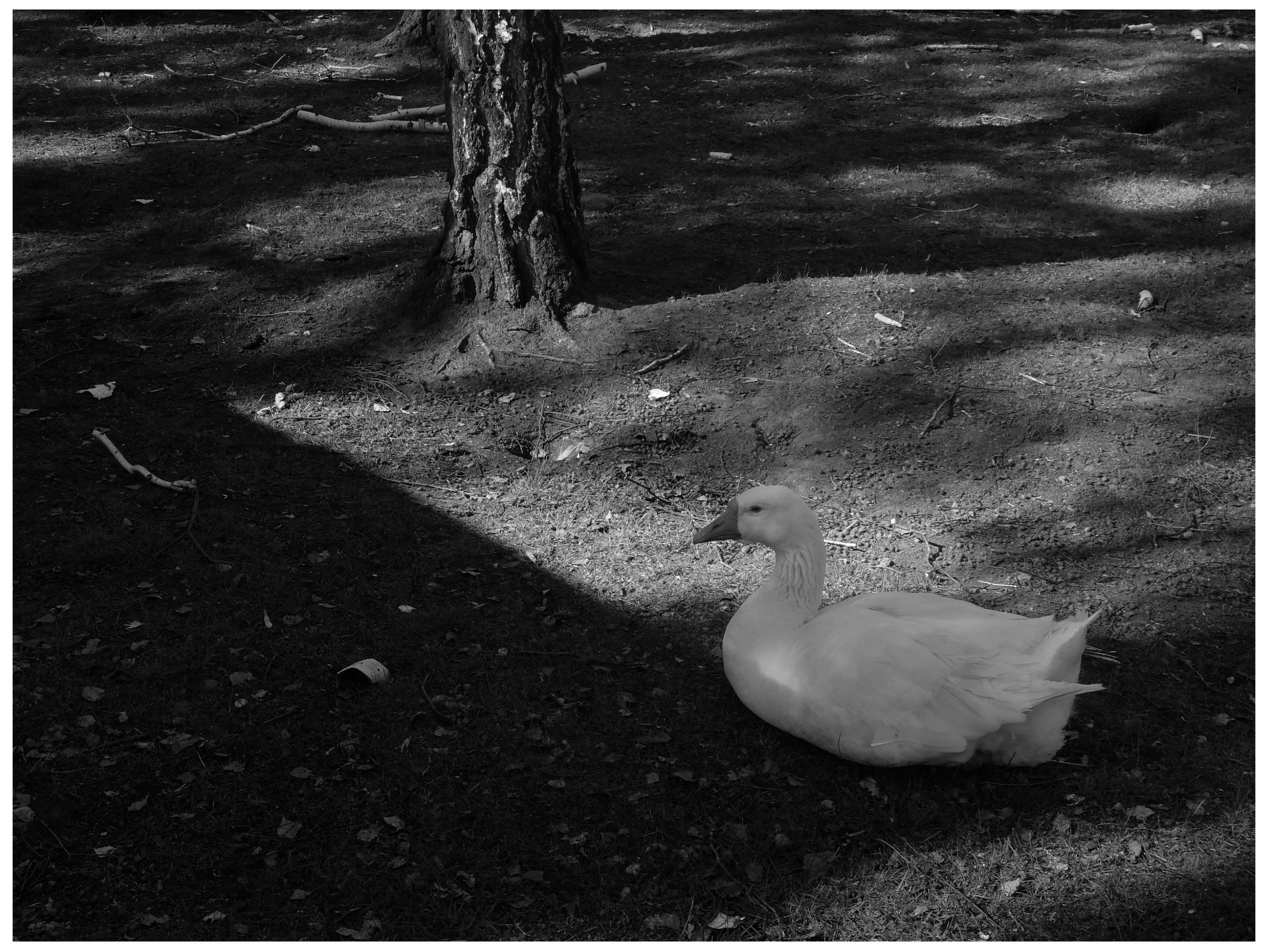 Промежуточные моменты (2022)