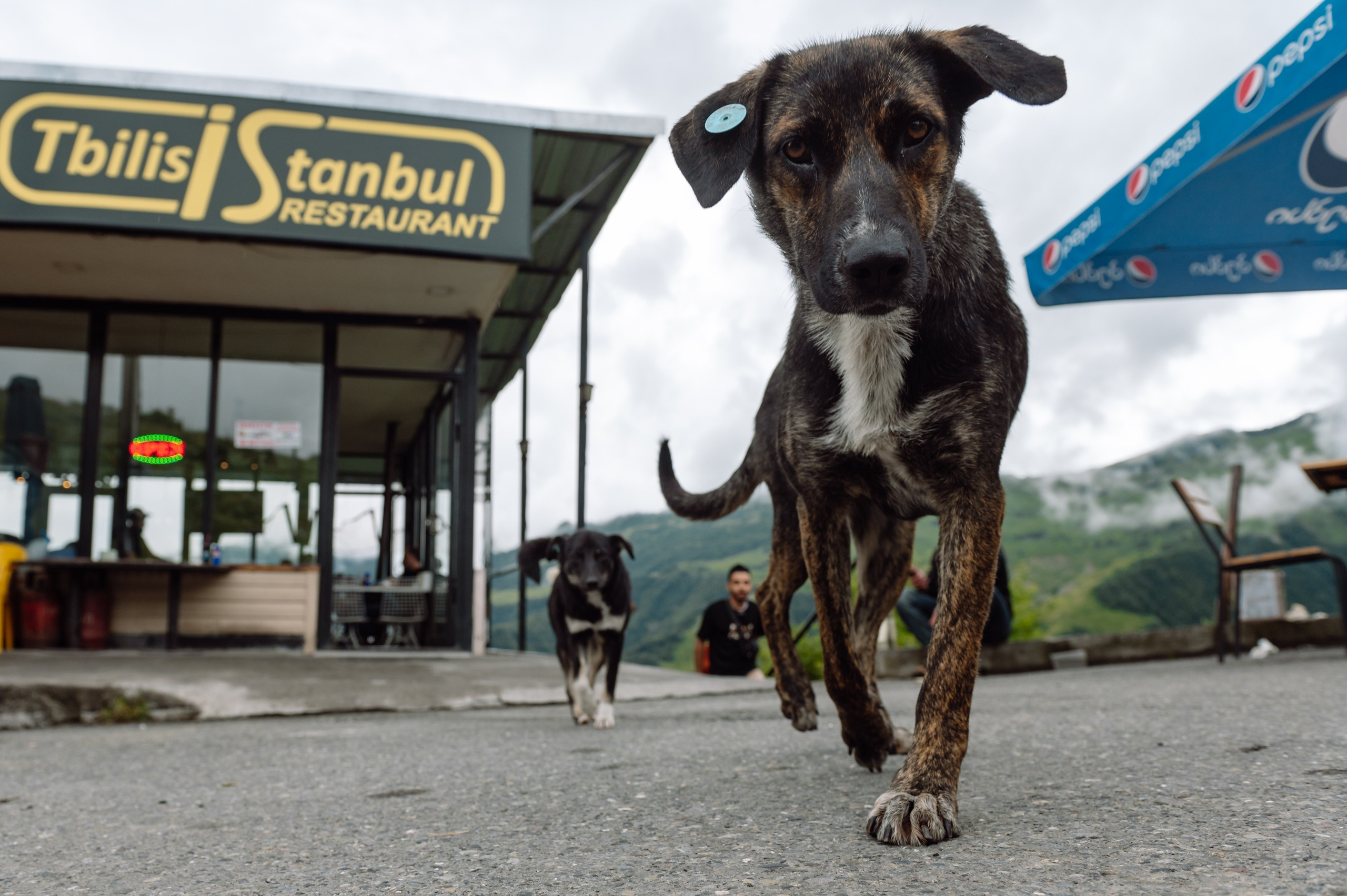Восхождение на 5137 метров. Репортажный фотограф в Москве и по всему миру Степанова Юлия