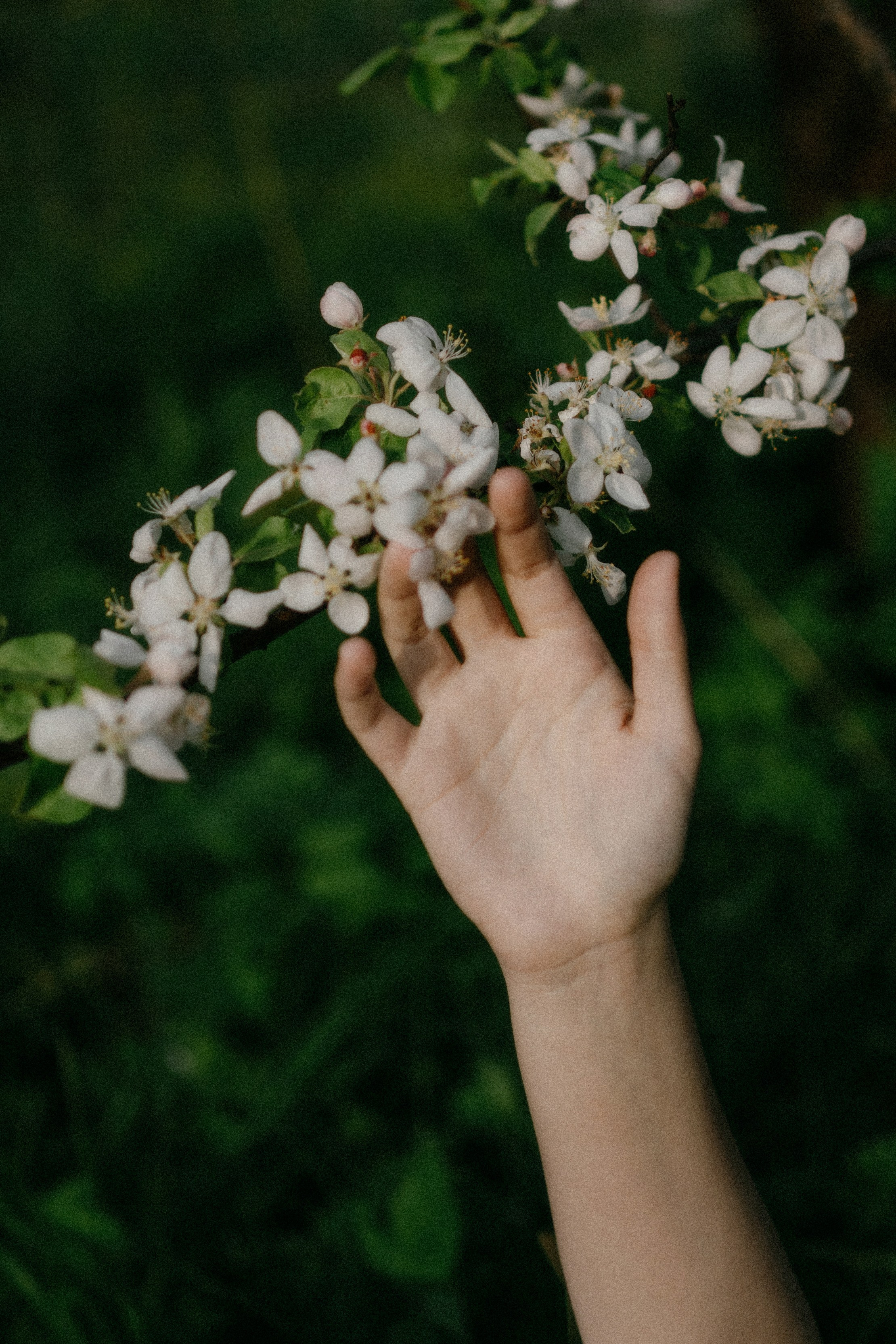 Dunechka. Фотограф в Москве Маша Игитова
