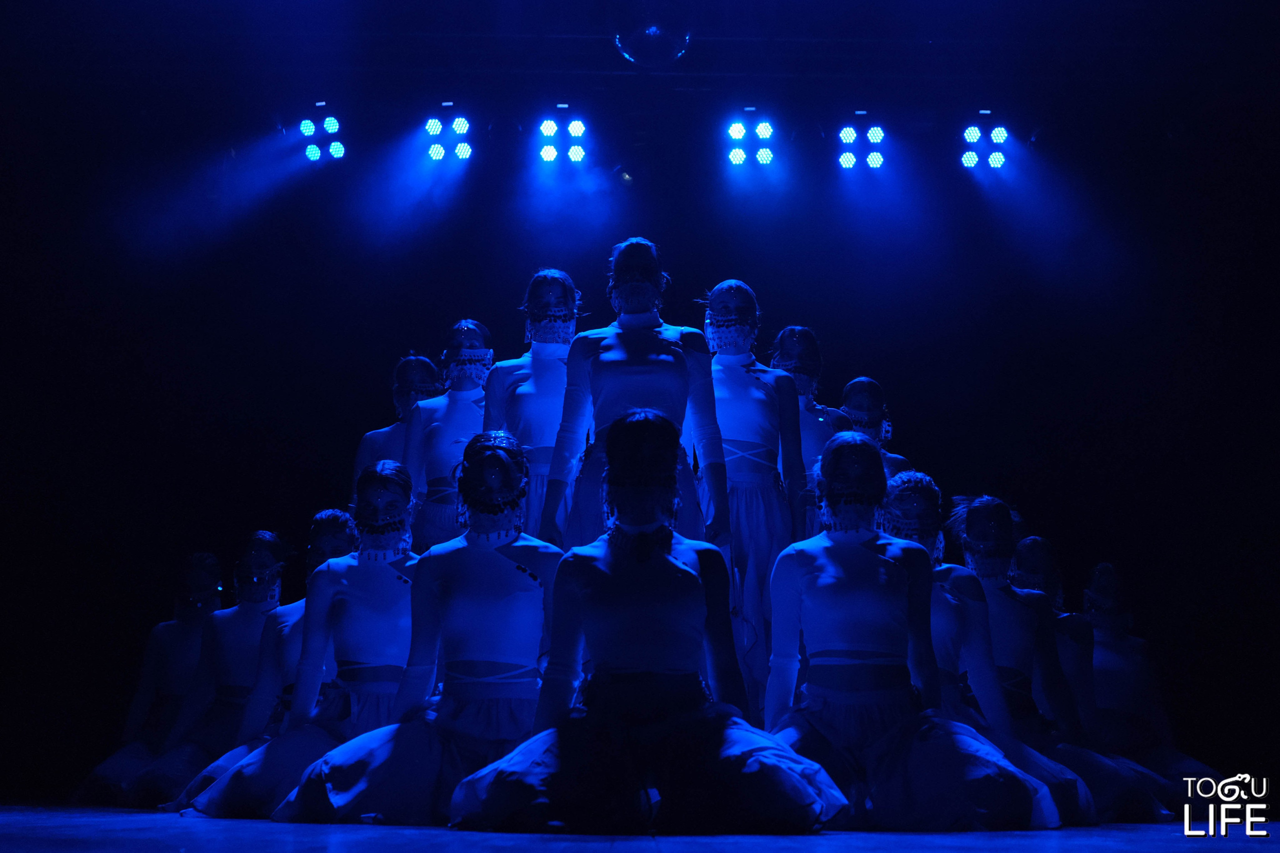 Концерты. NVSL STD