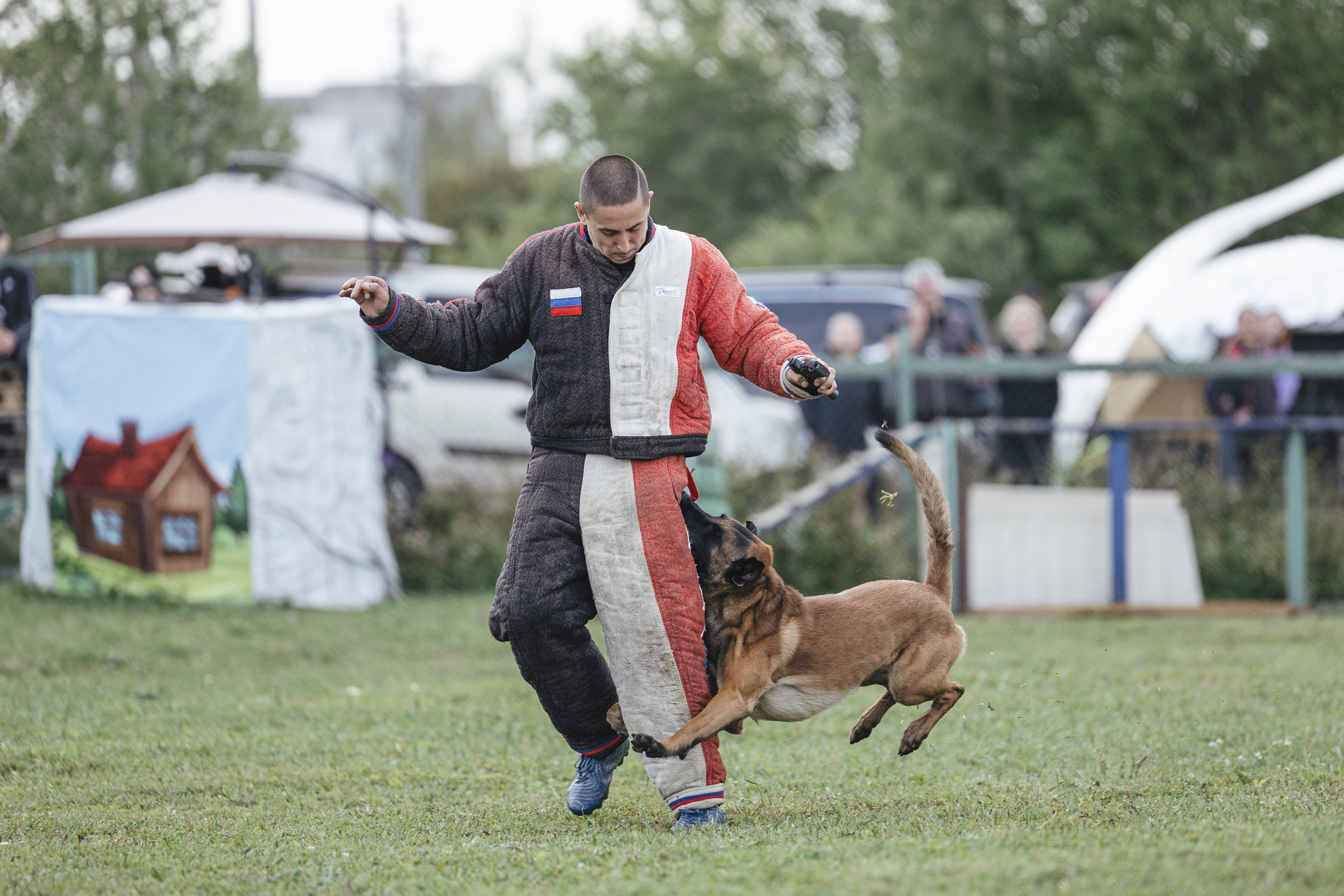 08.08.25-10.08.25 ЧР по мондьорингу г. Вологда. Фотограф-анималист Анна Маринич