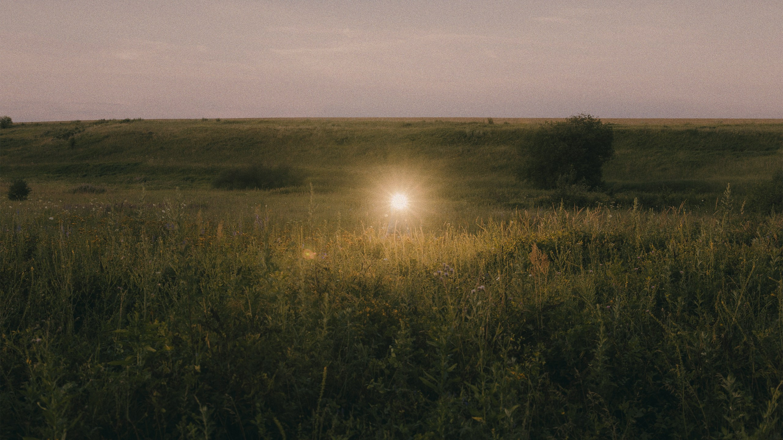 Саша Ковальчук — Репортажный Фотограф