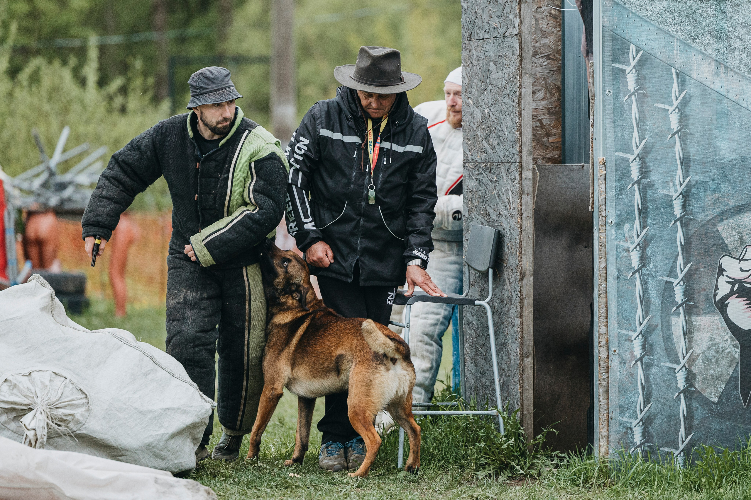 26.05.25 г. Пушкин квалификационные соревнования. Фотограф-анималист Анна Маринич