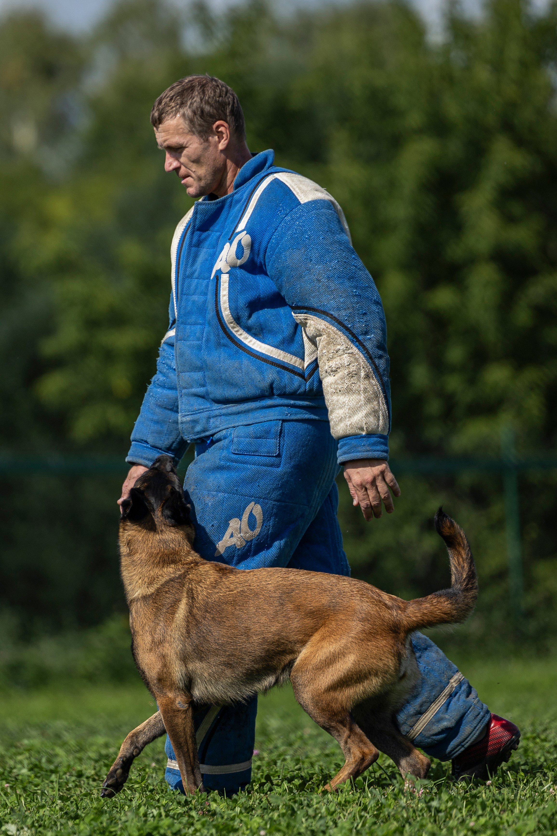 Соревнования по Мондьорингу г. Вологда 10-11.08.2024. Фотограф-анималист Анна Маринич