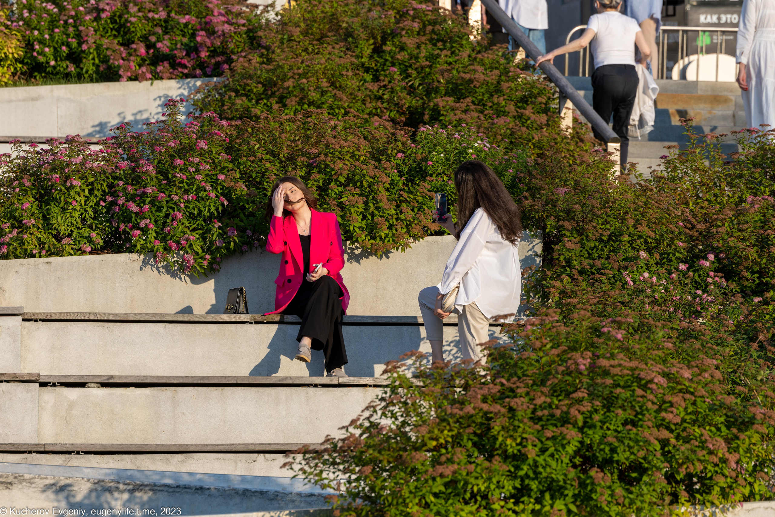 Скамейки. Кучеров Евгений. Фотограф