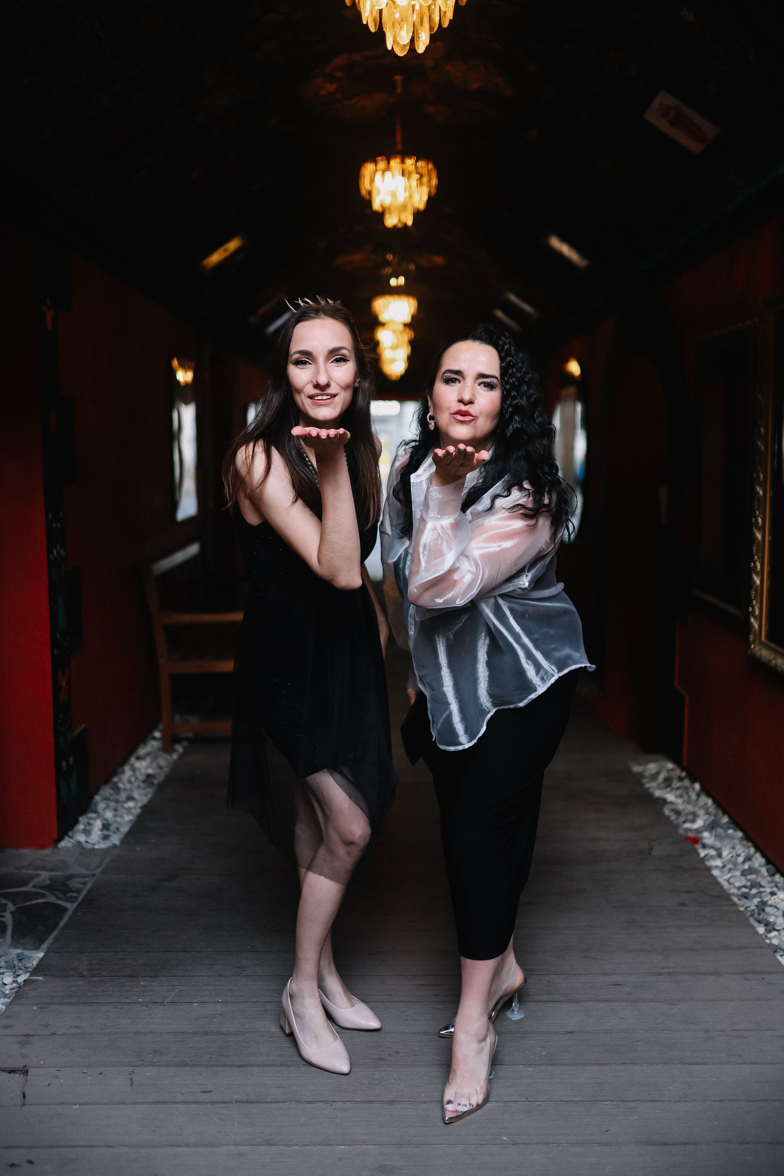 25.Диана и гости