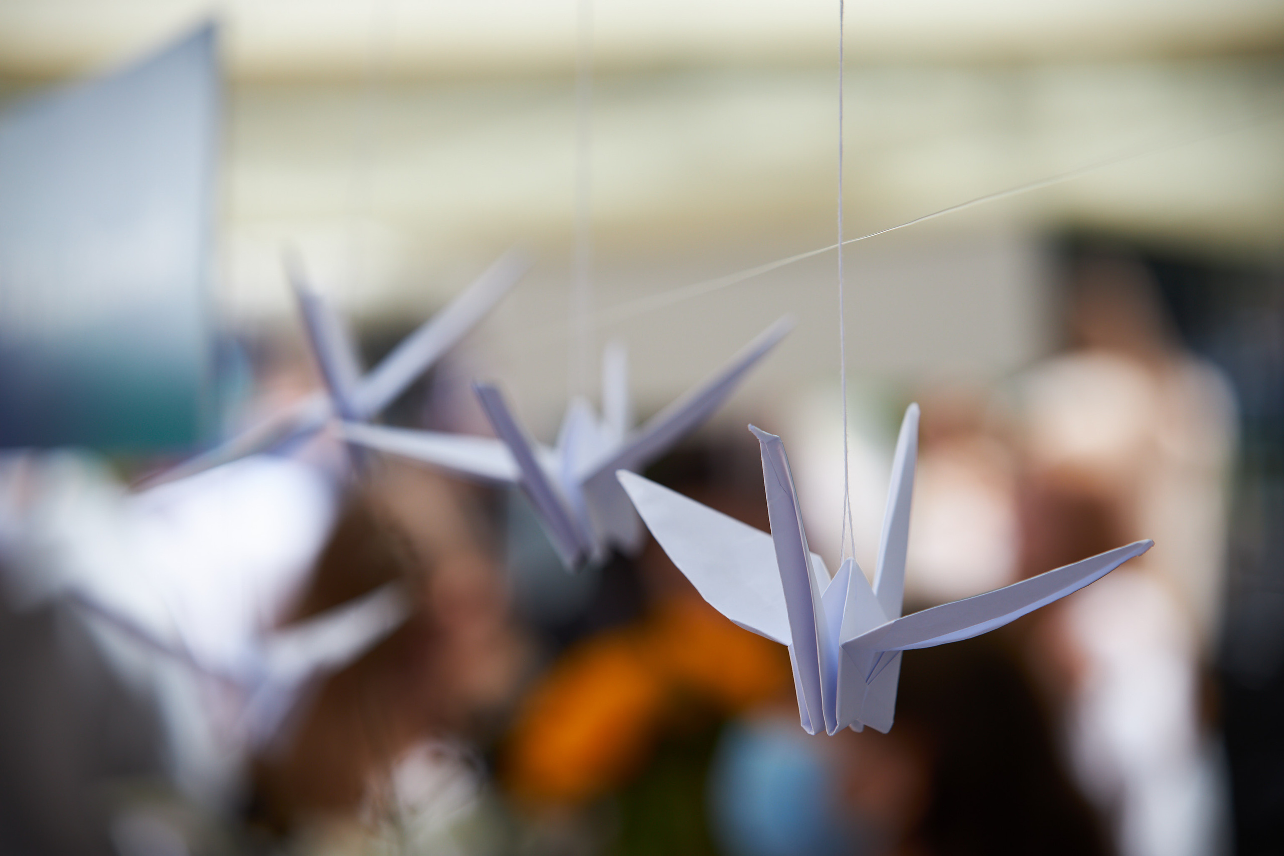 Рельсыфест. Фото & Видео Лина Доронкина