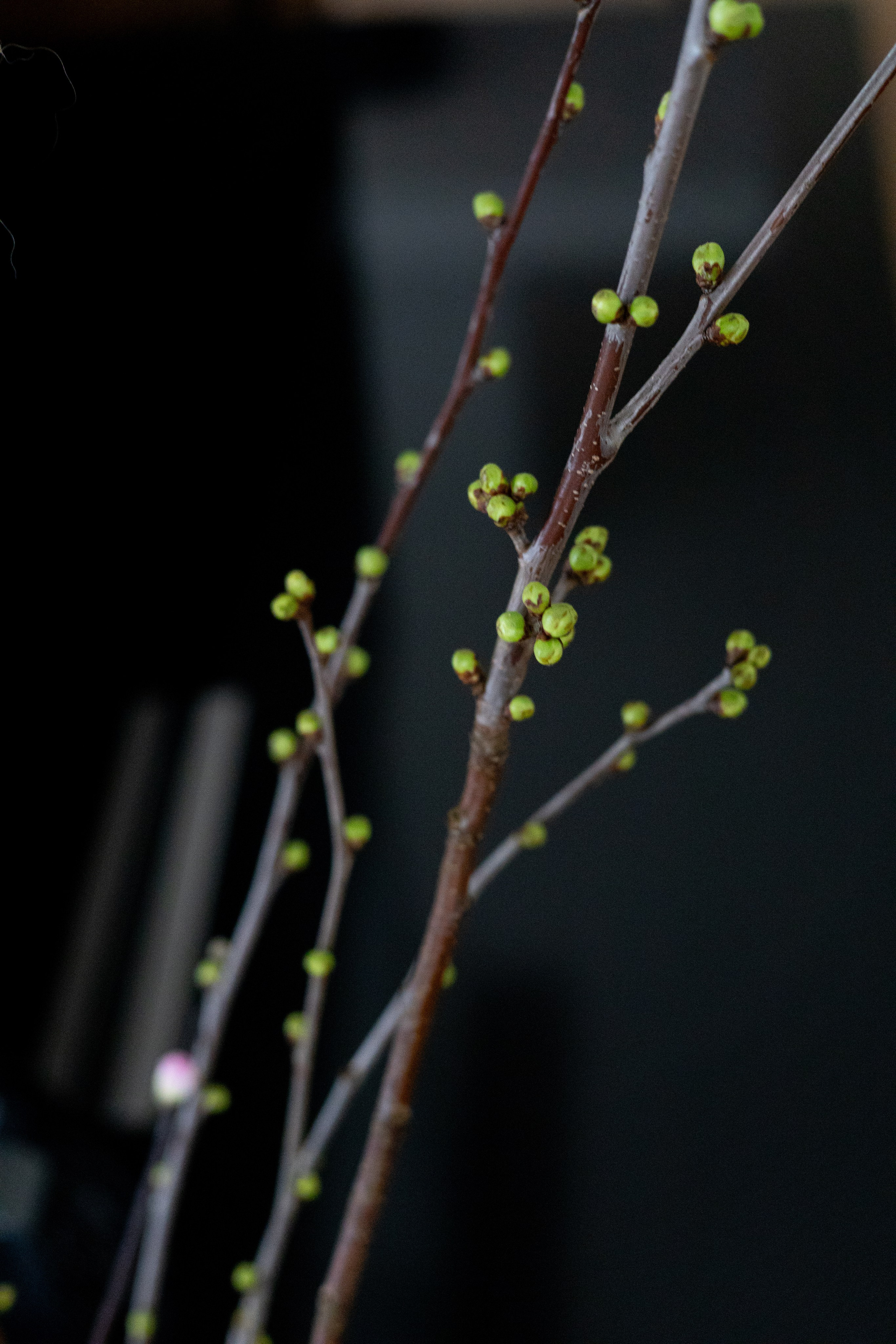 Clarity. ITMAG.ME | Visual Art