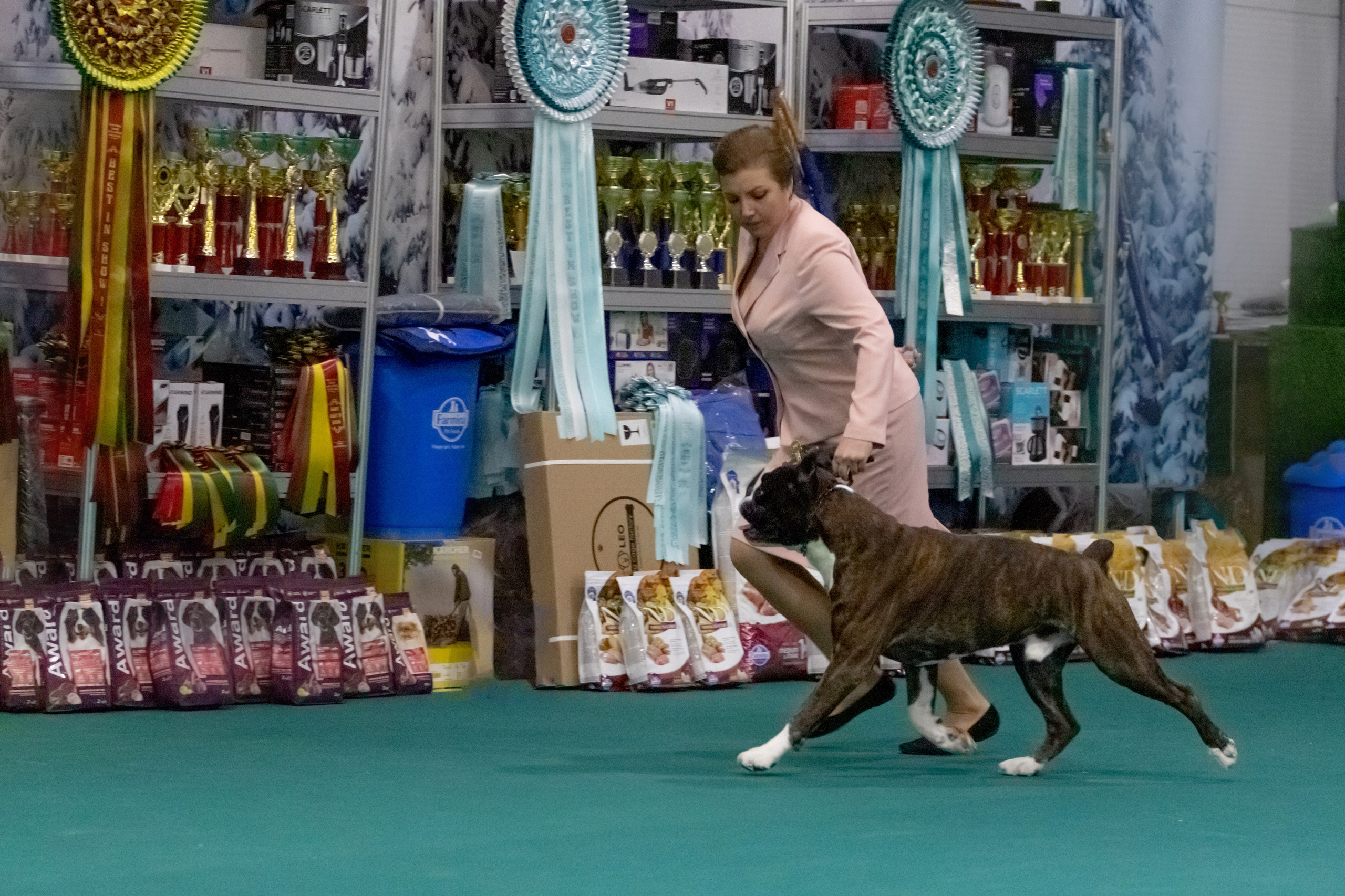 Выставки. Фотограф — анималист в Москве и области Ольга Петракова