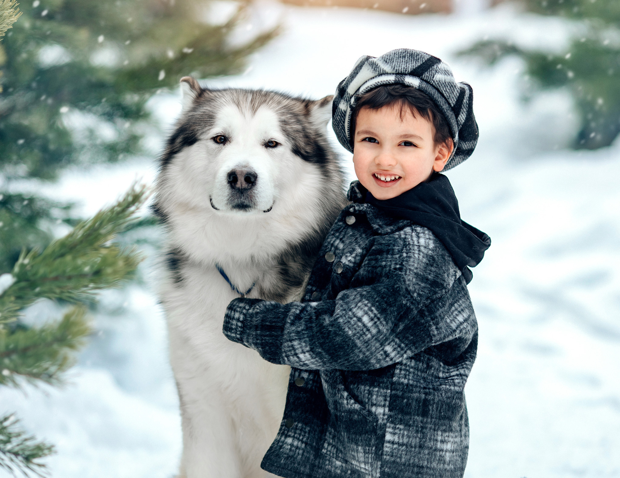 Фотосессия с маламутом Феней. Детский и семейный фотограф с животными в Москве Гурьева Надежда