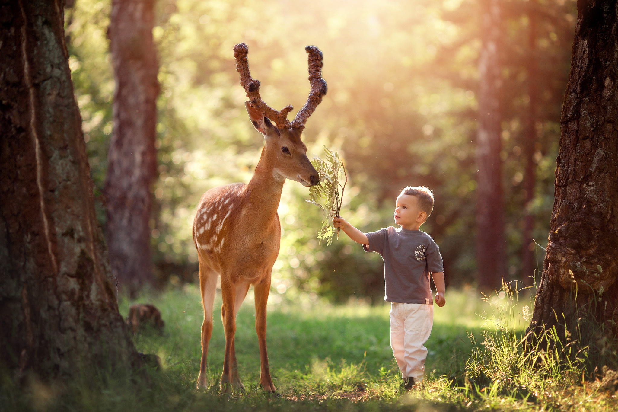 Фотосессия для мальчика с оленями. Детский и семейный фотограф с животными в Москве Гурьева Надежда