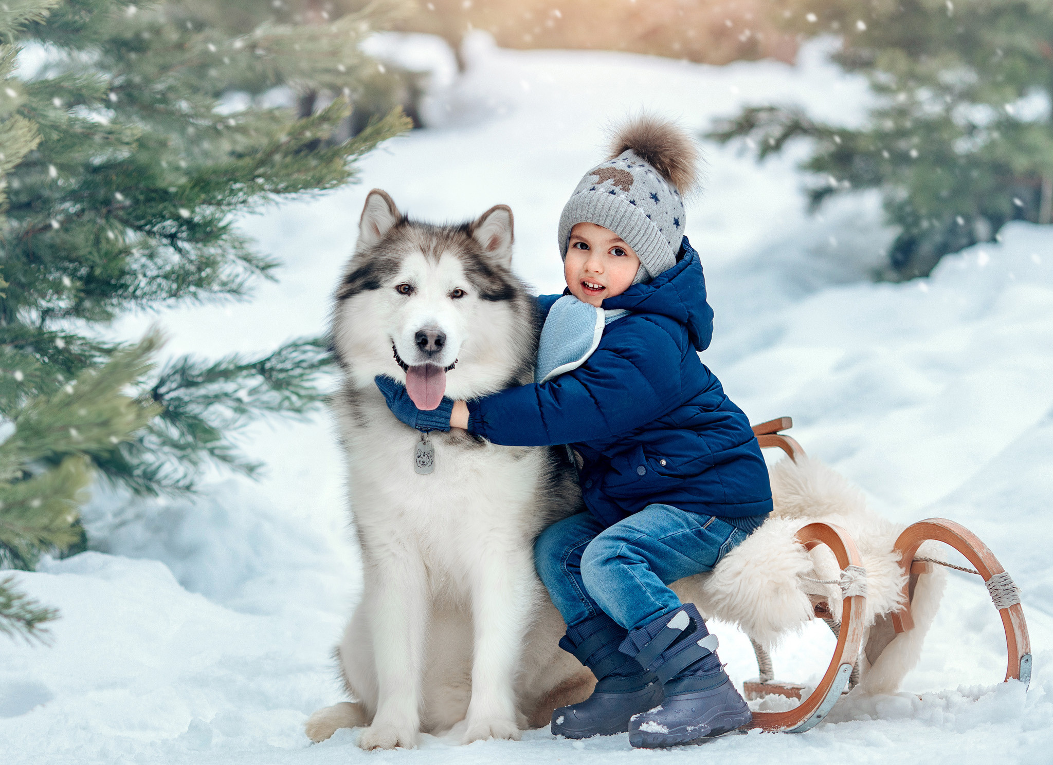 Фотосессия с маламутом Феней. Детский и семейный фотограф с животными в Москве Гурьева Надежда