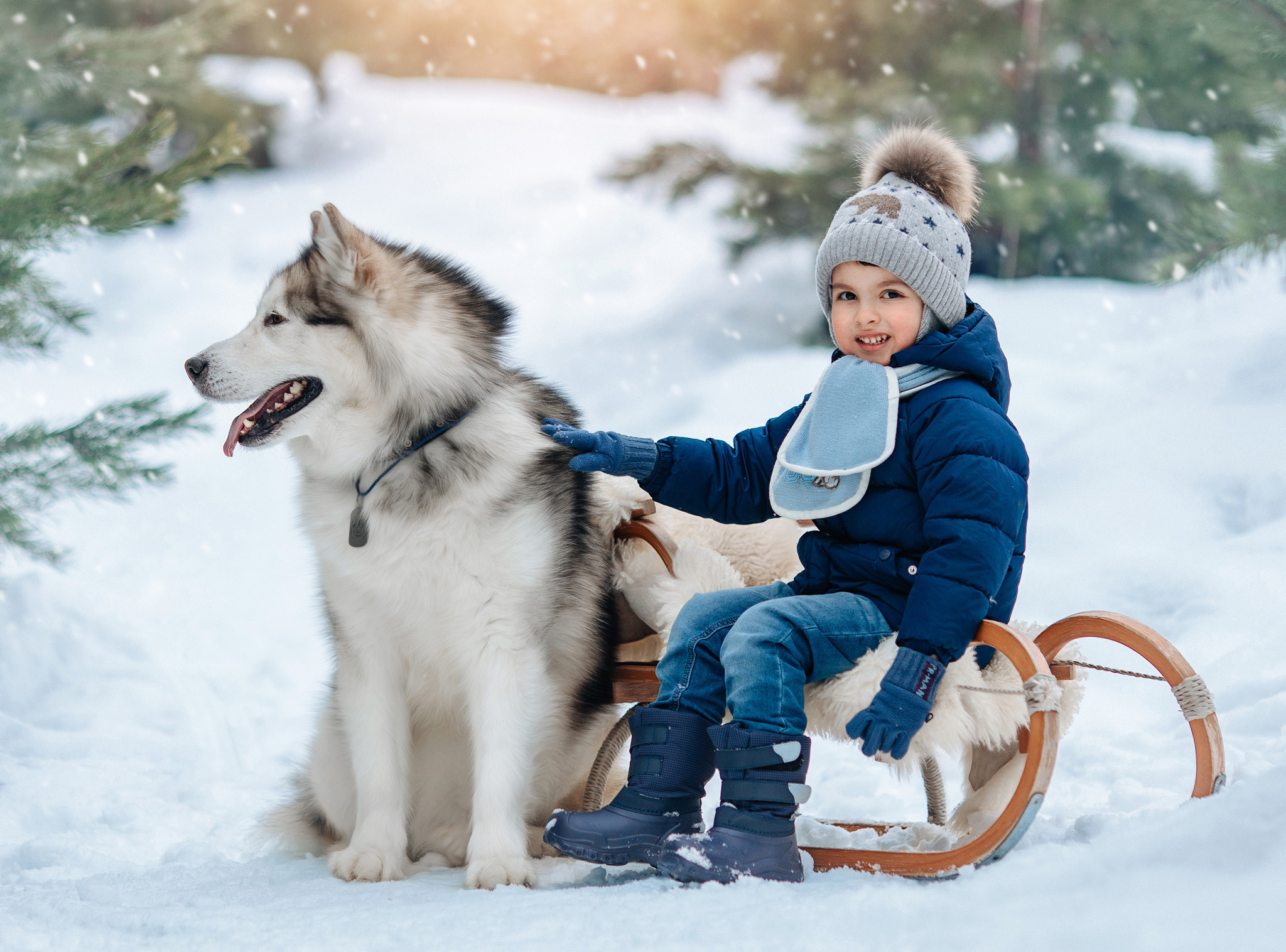 Фотосессия с маламутом Феней. Детский и семейный фотограф с животными в Москве Гурьева Надежда