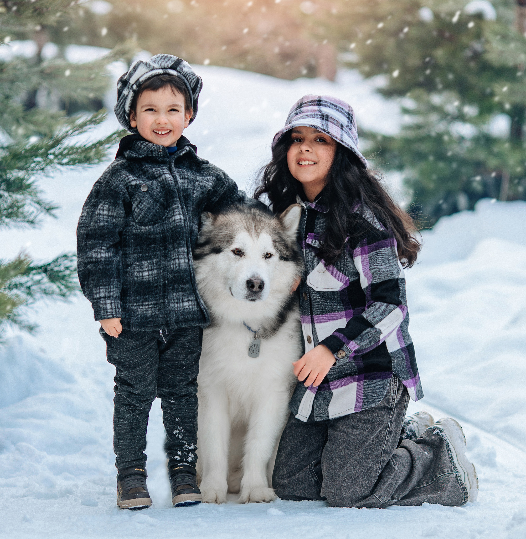 Фотосессия с маламутом Феней. Детский и семейный фотограф с животными в Москве Гурьева Надежда