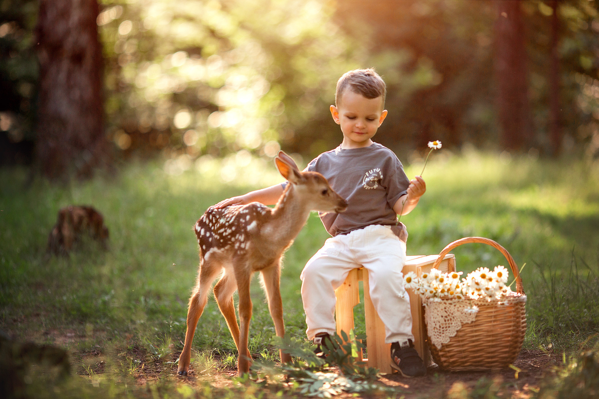 Фотосессия для мальчика с оленями. Детский и семейный фотограф с животными в Москве Гурьева Надежда