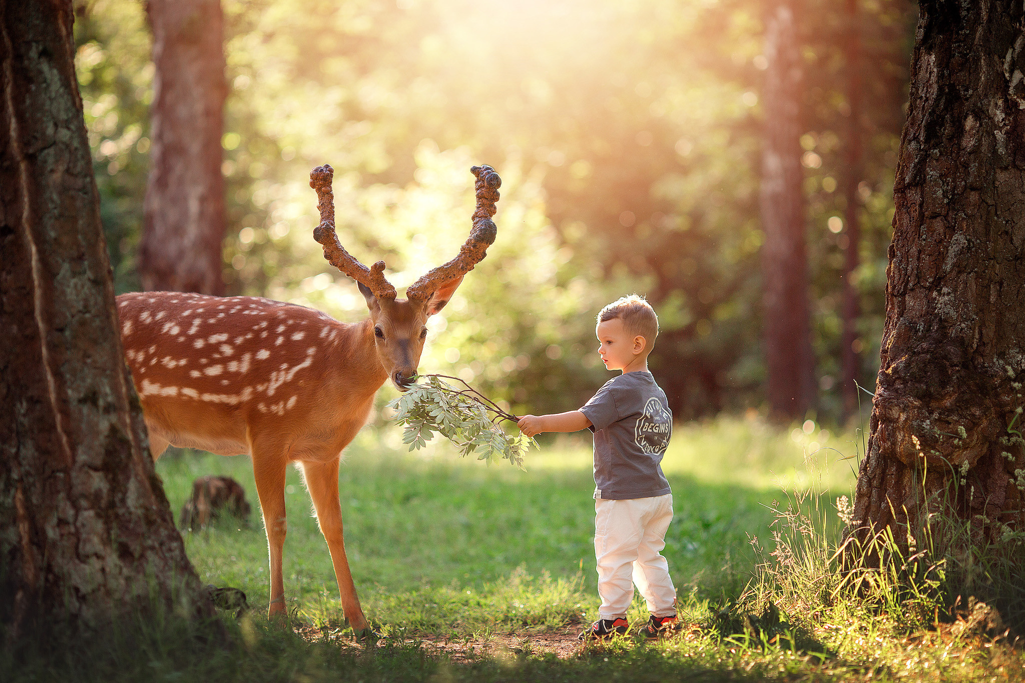 Фотосессия для мальчика с оленями. Детский и семейный фотограф с животными в Москве Гурьева Надежда
