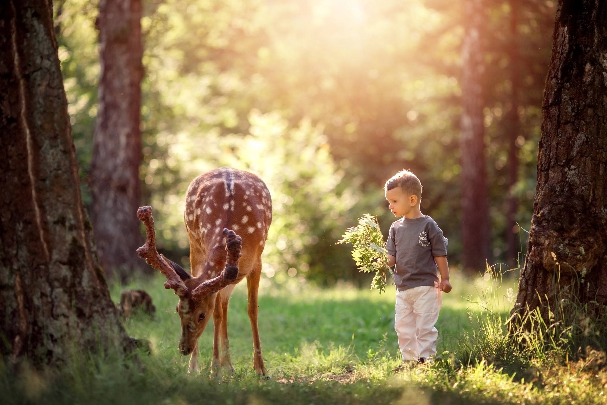 Фотосессия для мальчика с оленями. Детский и семейный фотограф с животными в Москве Гурьева Надежда