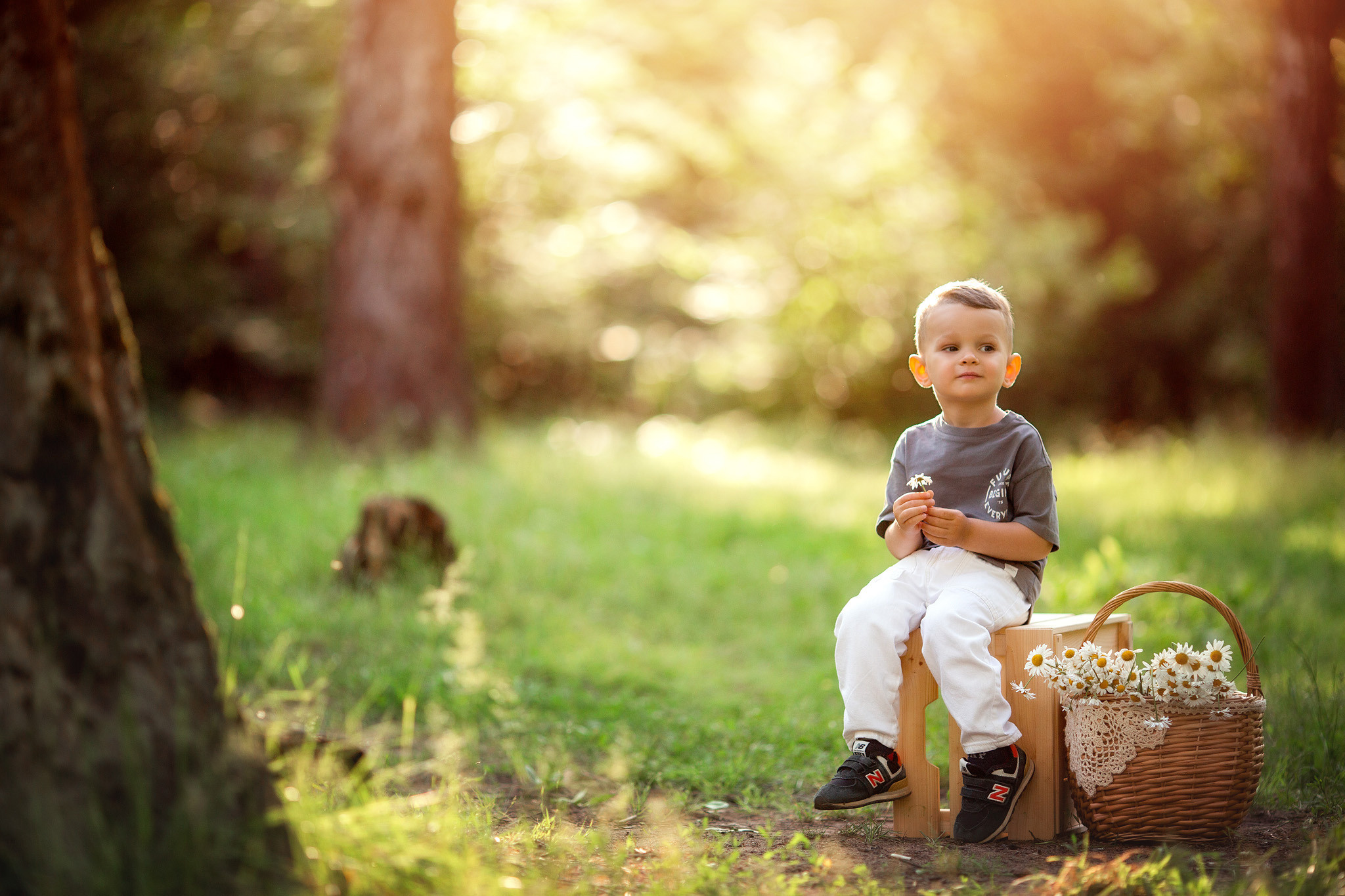 Фотосессия для мальчика с оленями. Детский и семейный фотограф с животными в Москве Гурьева Надежда