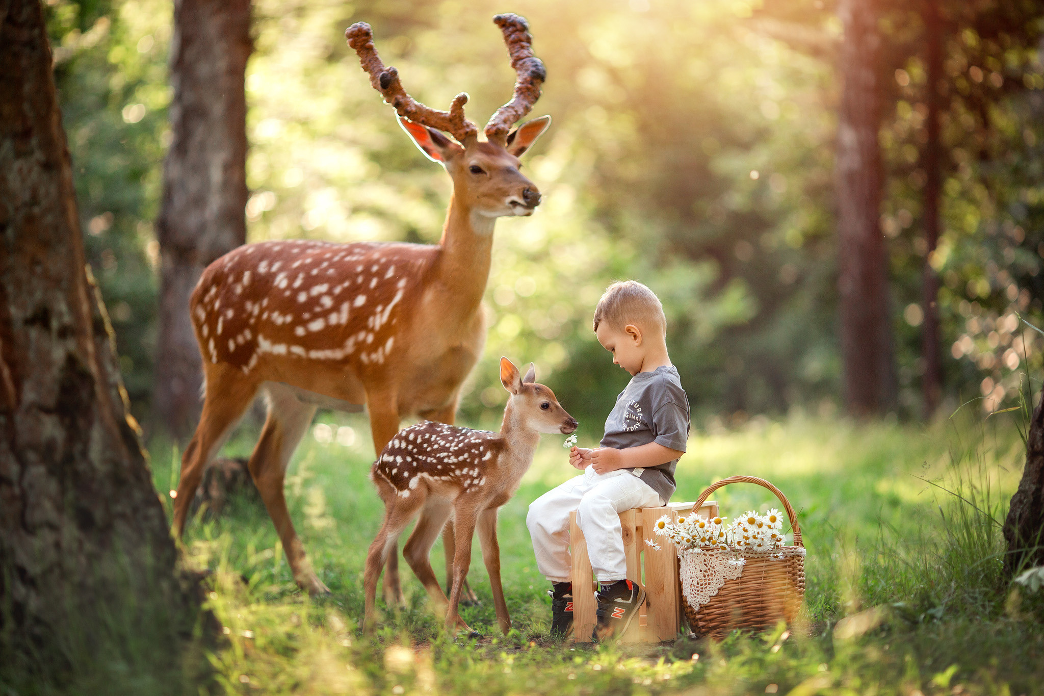 Фотосессия для мальчика с оленями. Детский и семейный фотограф с животными в Москве Гурьева Надежда