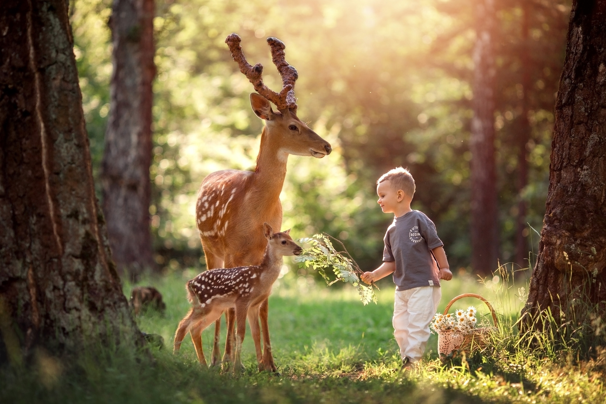 Фотосессия для мальчика с оленями. Детский и семейный фотограф с животными в Москве Гурьева Надежда