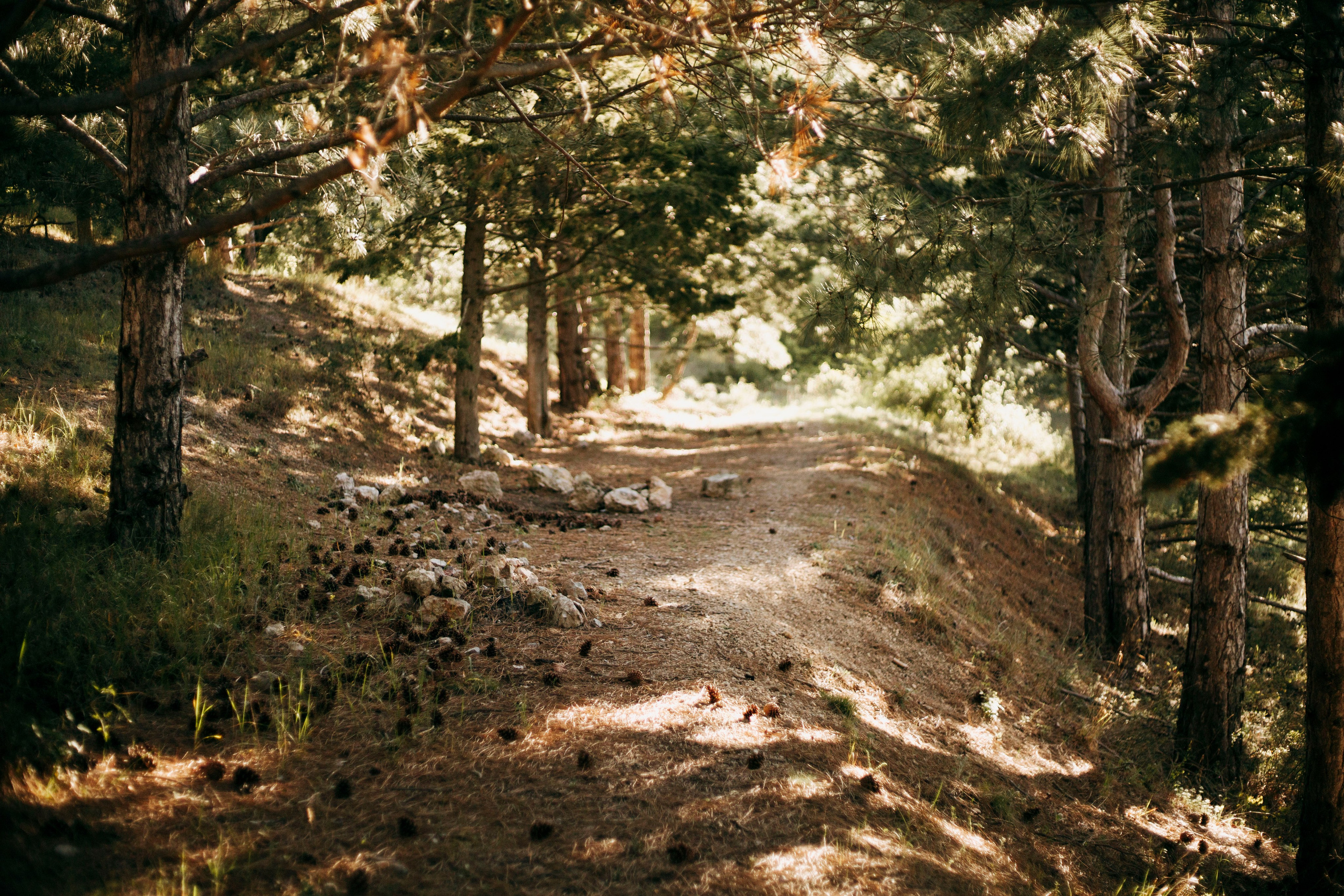 МореНебоОблака. Ваш портретный фотограф в Москве Катя Прокофьева