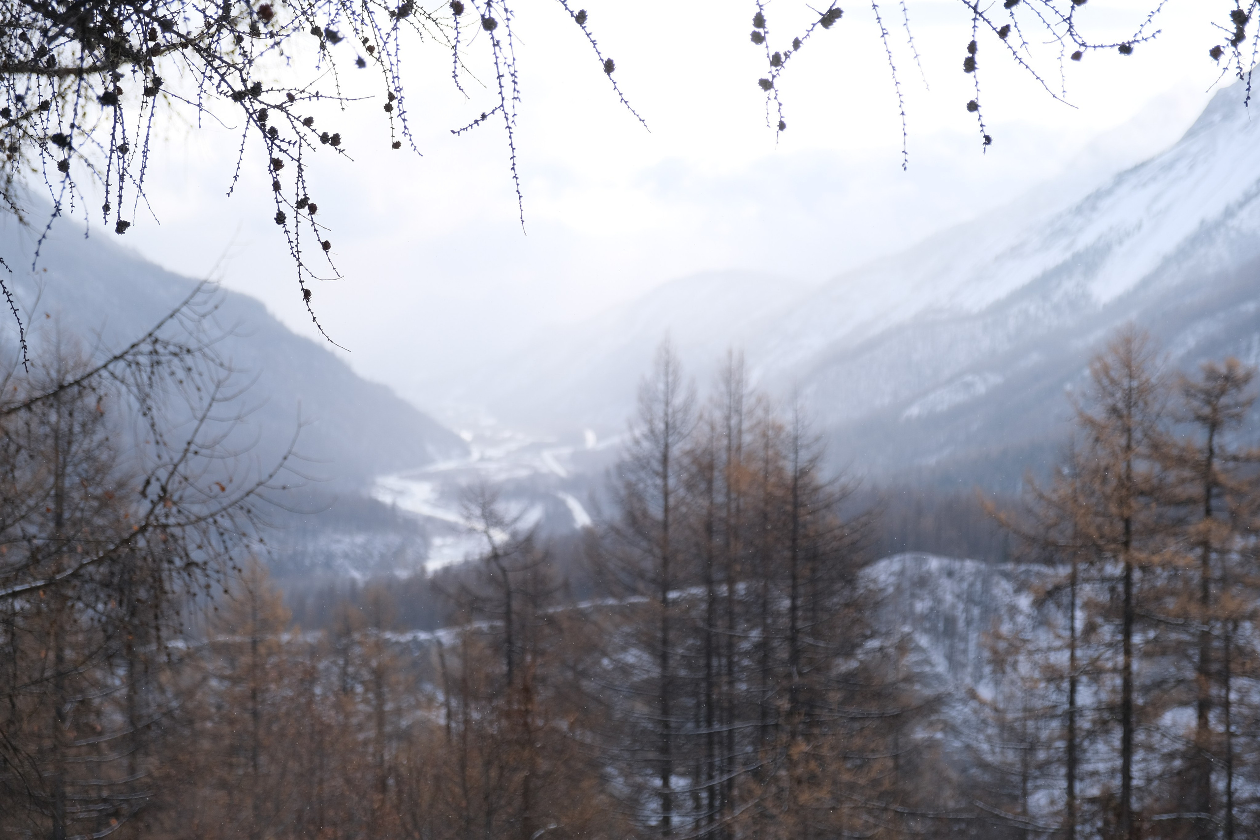 Орлик. Сэсэг — дочь степи | семейный фотограф