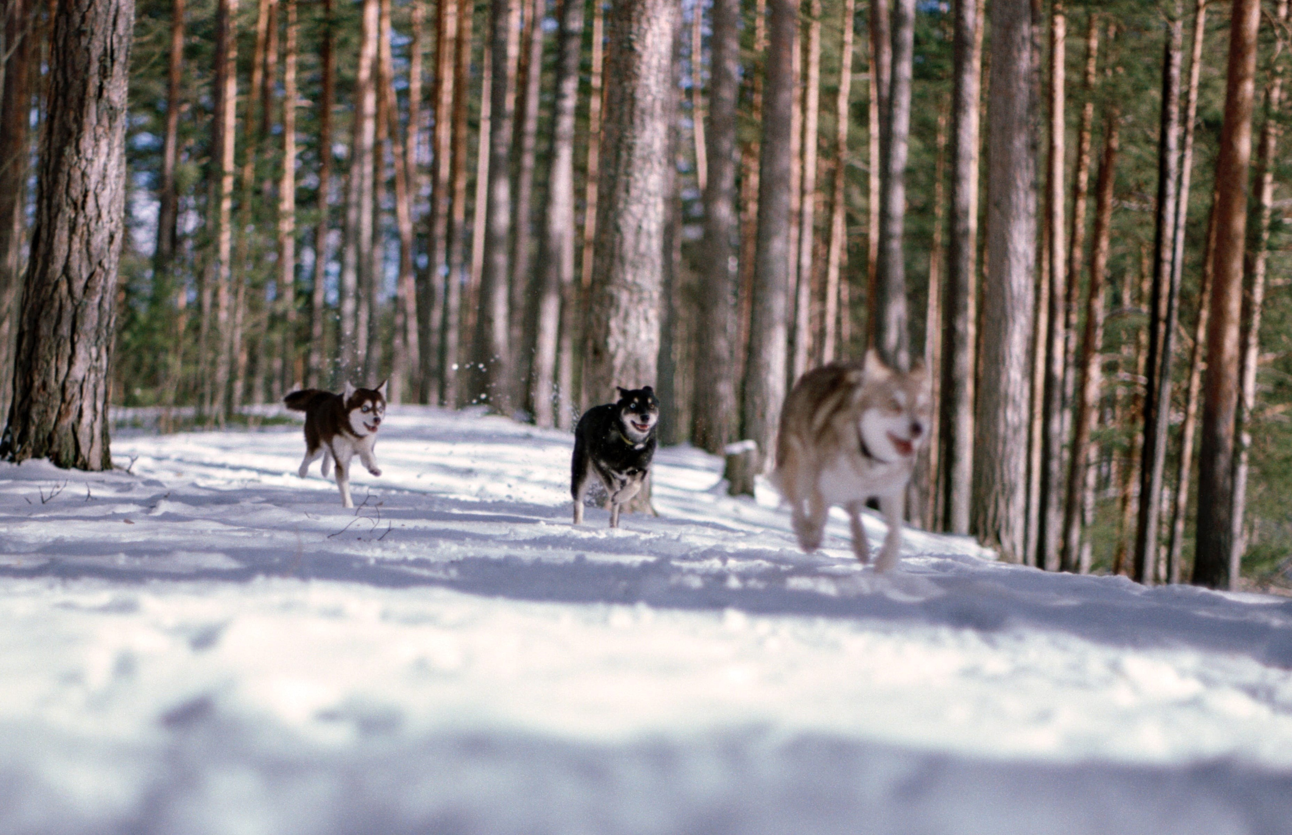 W. Стилист и плёночный фотограф Анастасия Шлокова в Санкт-Петербурге и Москве
