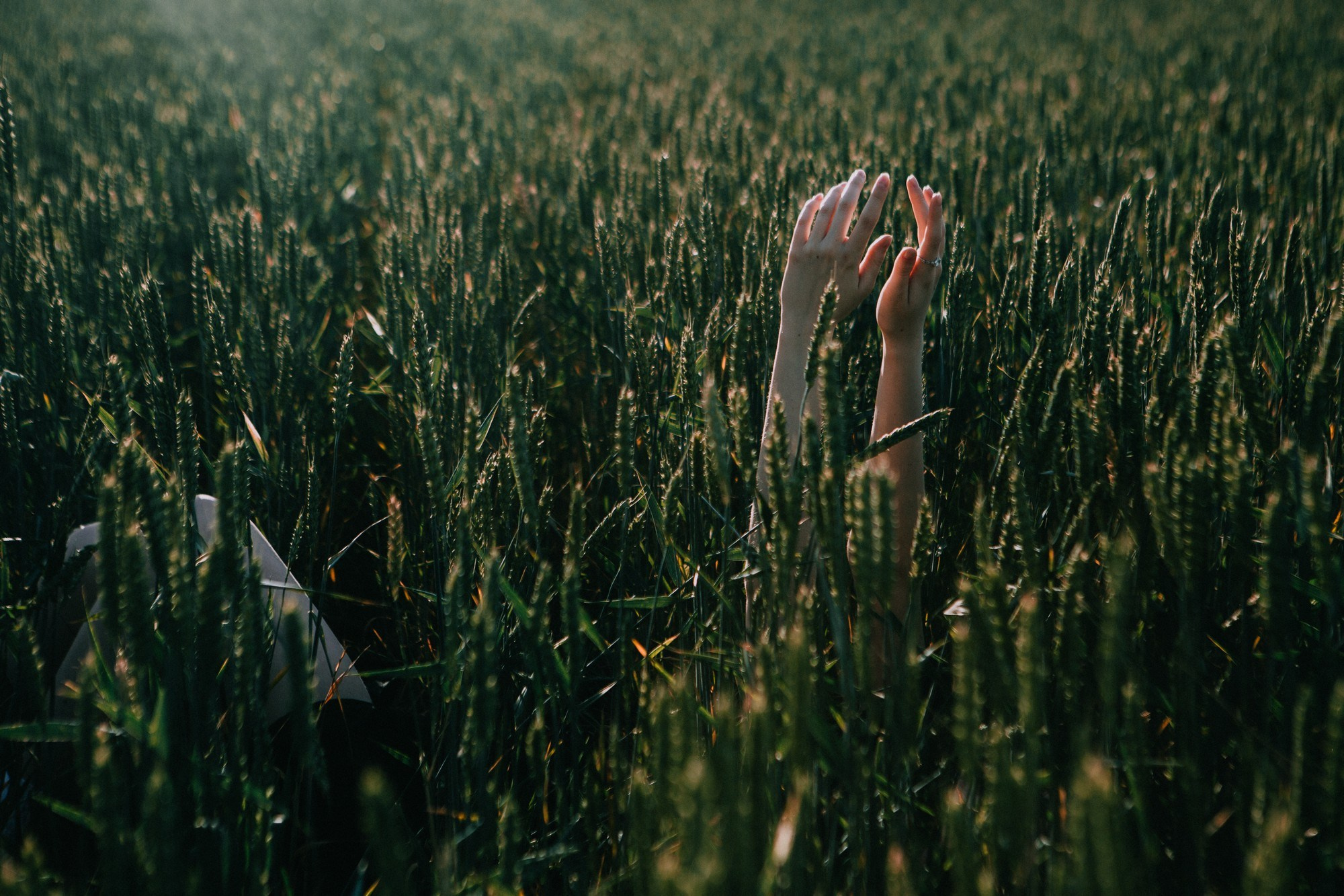 Тишина…. Фотограф Краснодар/преподаватель фотографии