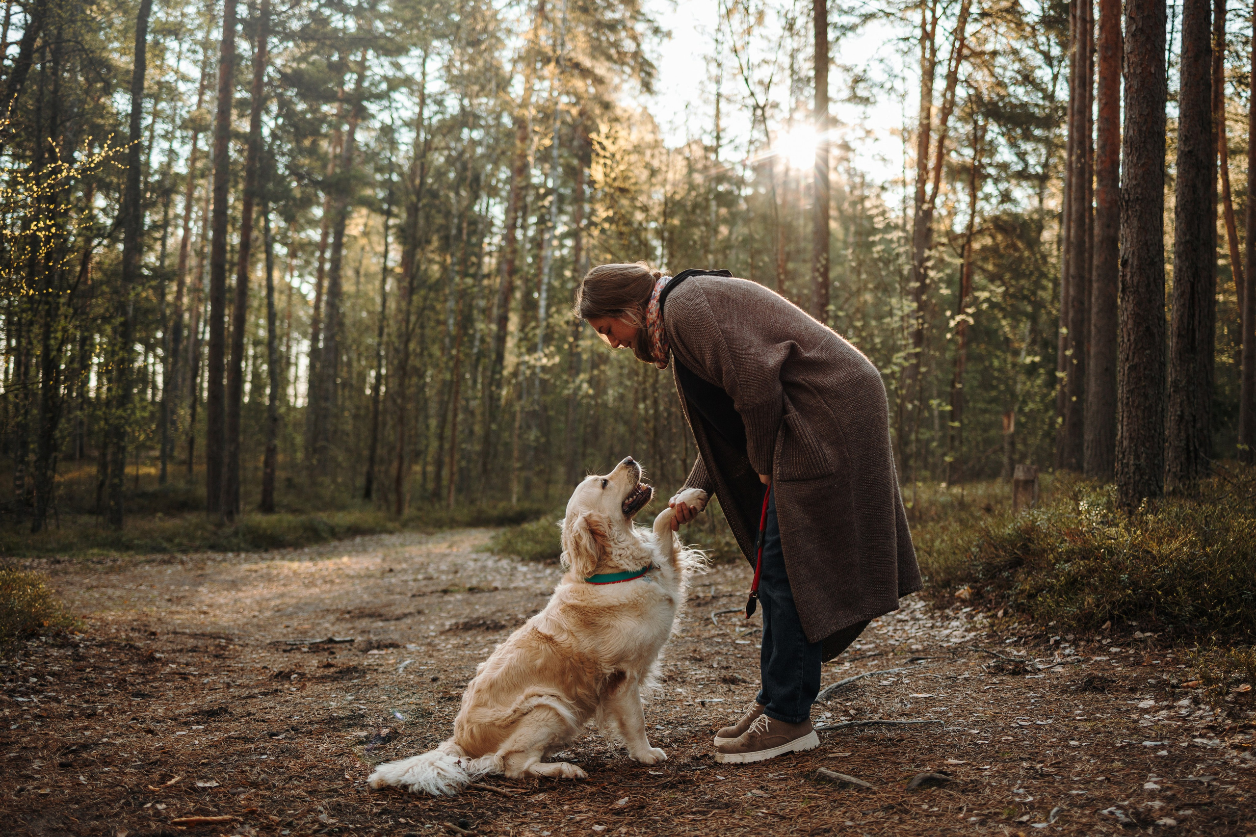 Катя и ее девочки. Фотограф — Анималист | Санкт-Петербург