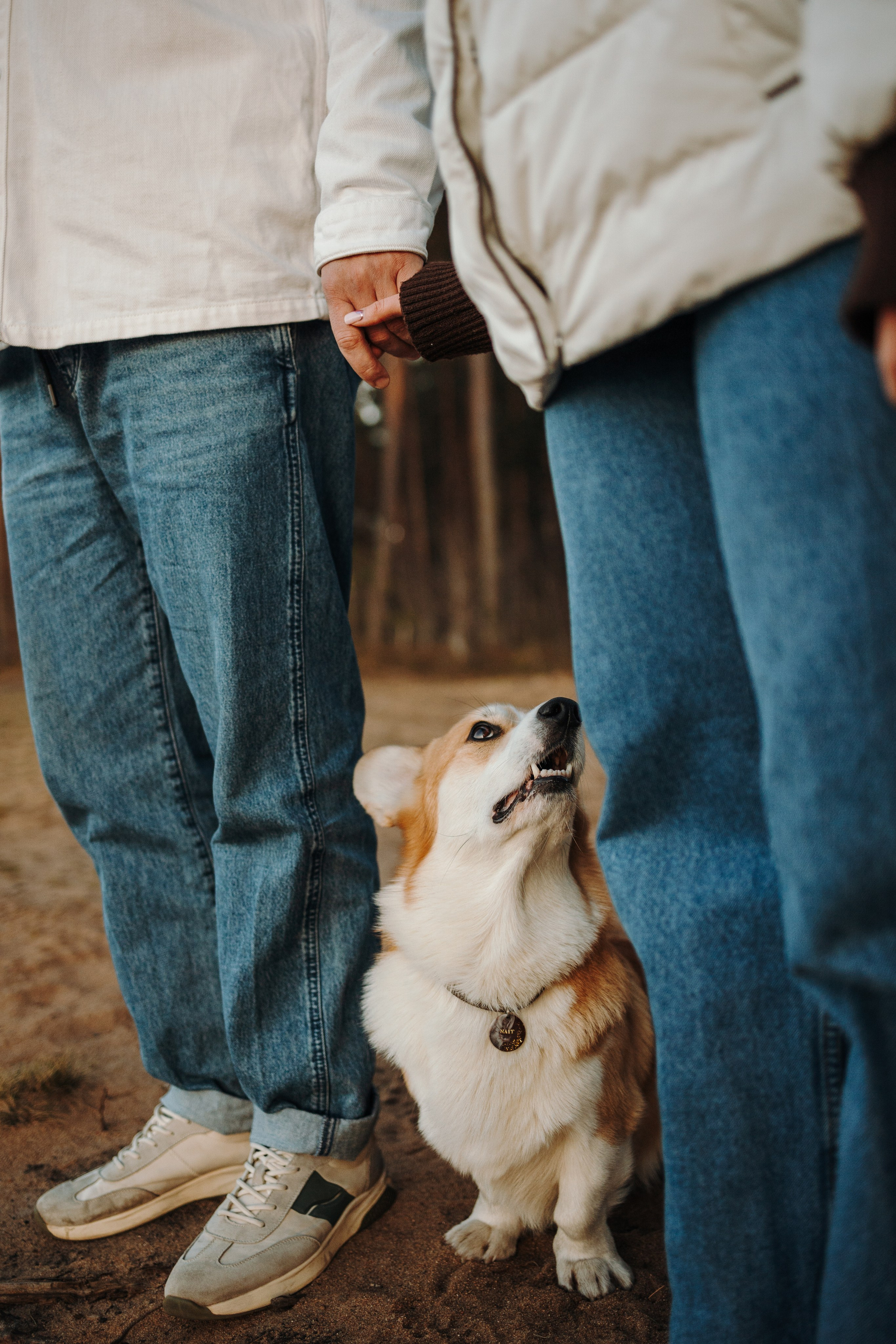 Найт и его семья. Фотограф — Анималист | Санкт-Петербург
