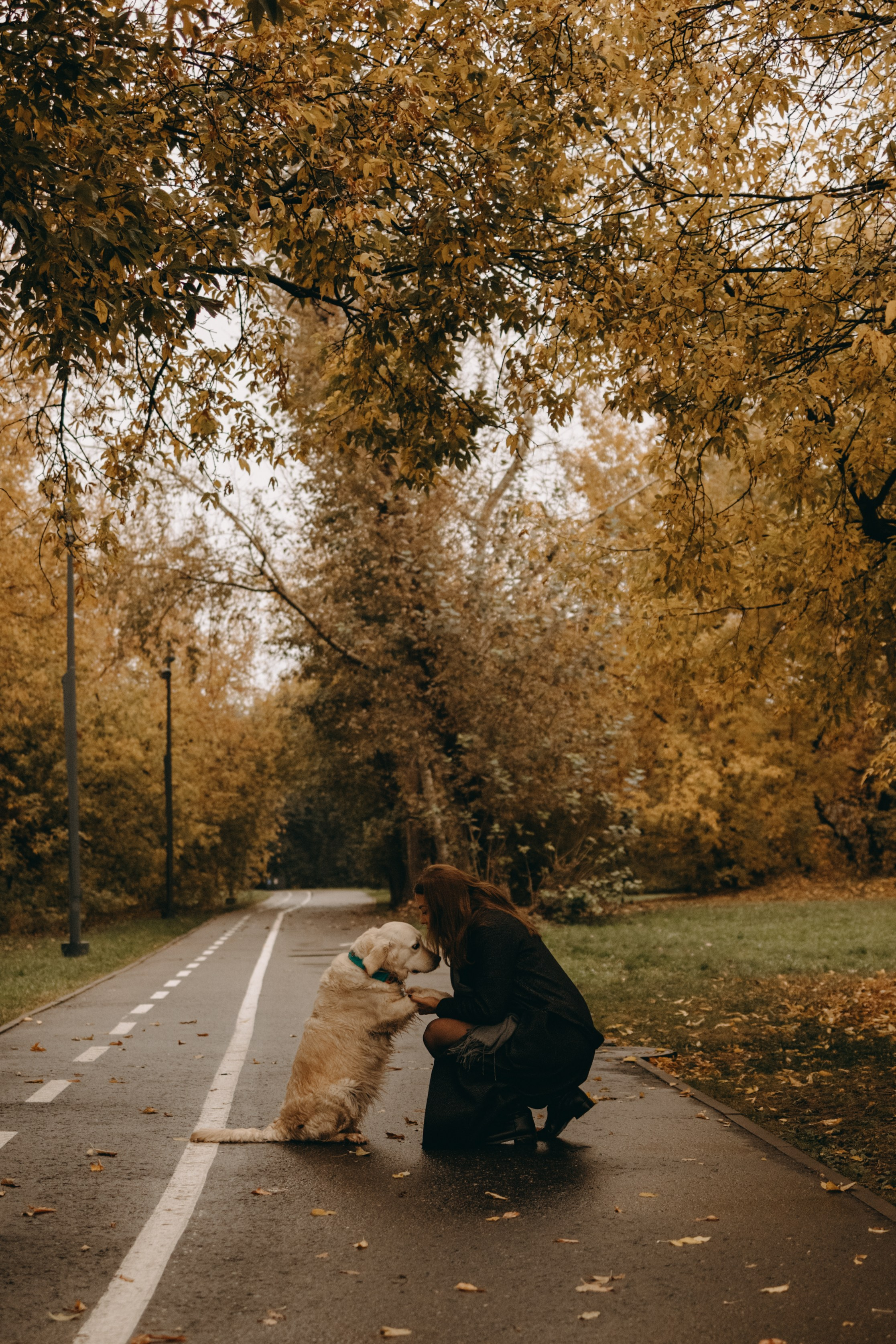 Женя и ее девочки. Фотограф — Анималист | Санкт-Петербург