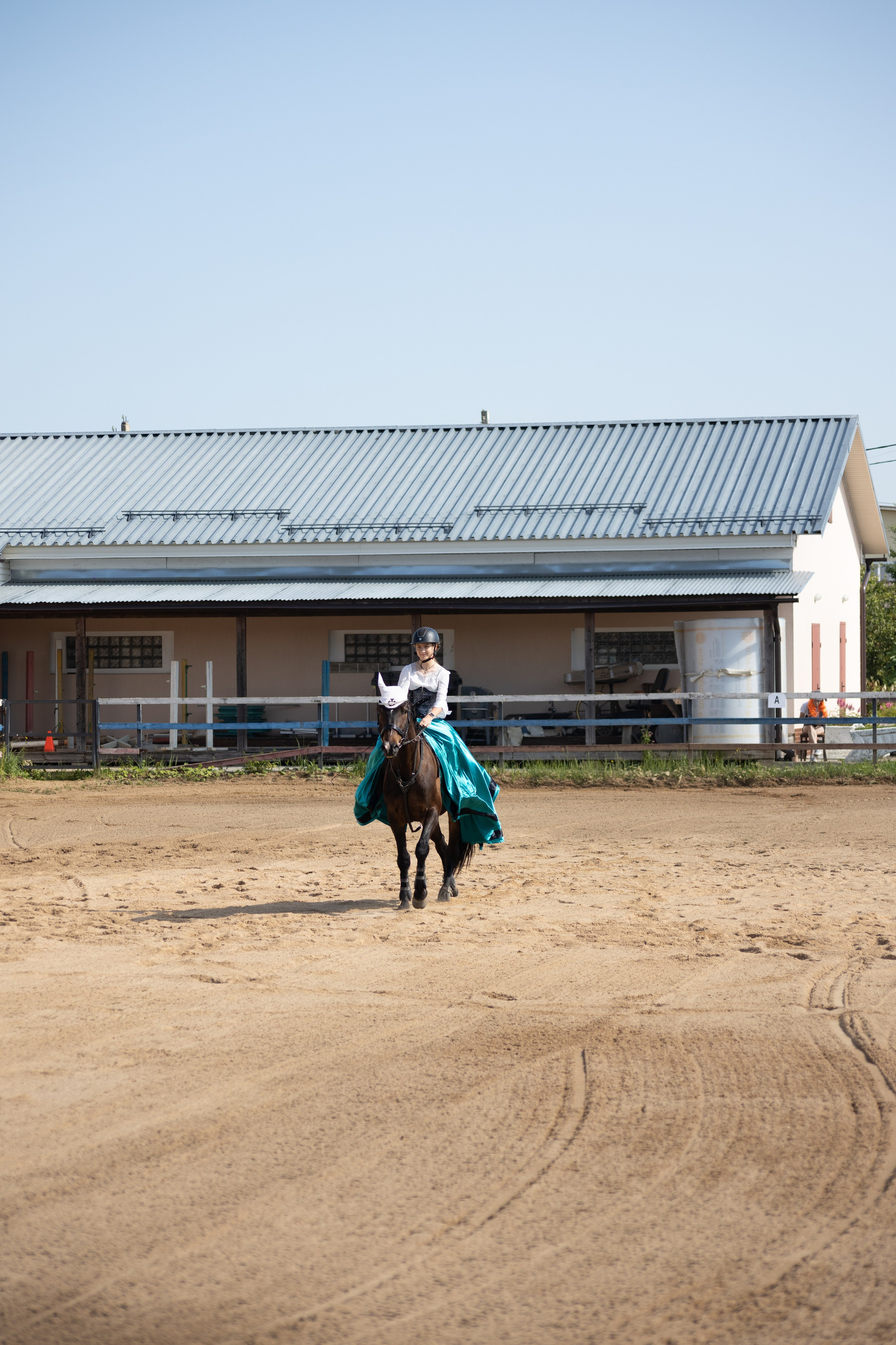Конюшня. Фотограф в Москве и Истре