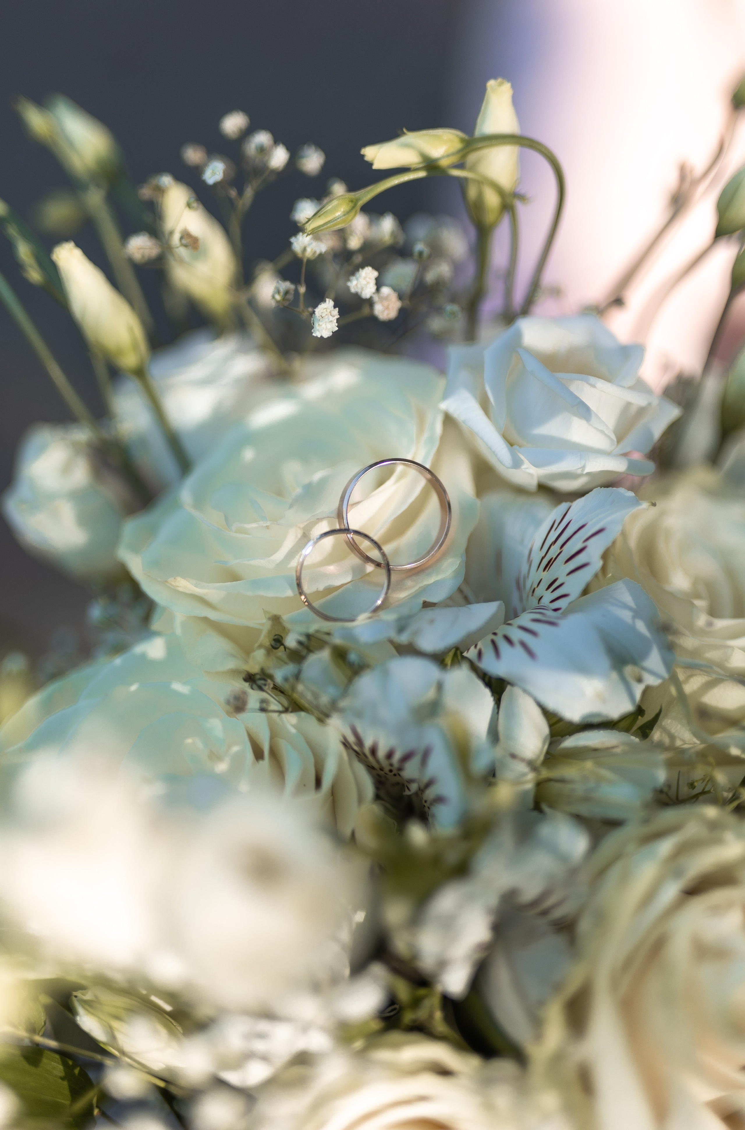 Геннадий и Анна. Фотограф в Нижнем Новгороде, Дзержинске Олеся Хозяева