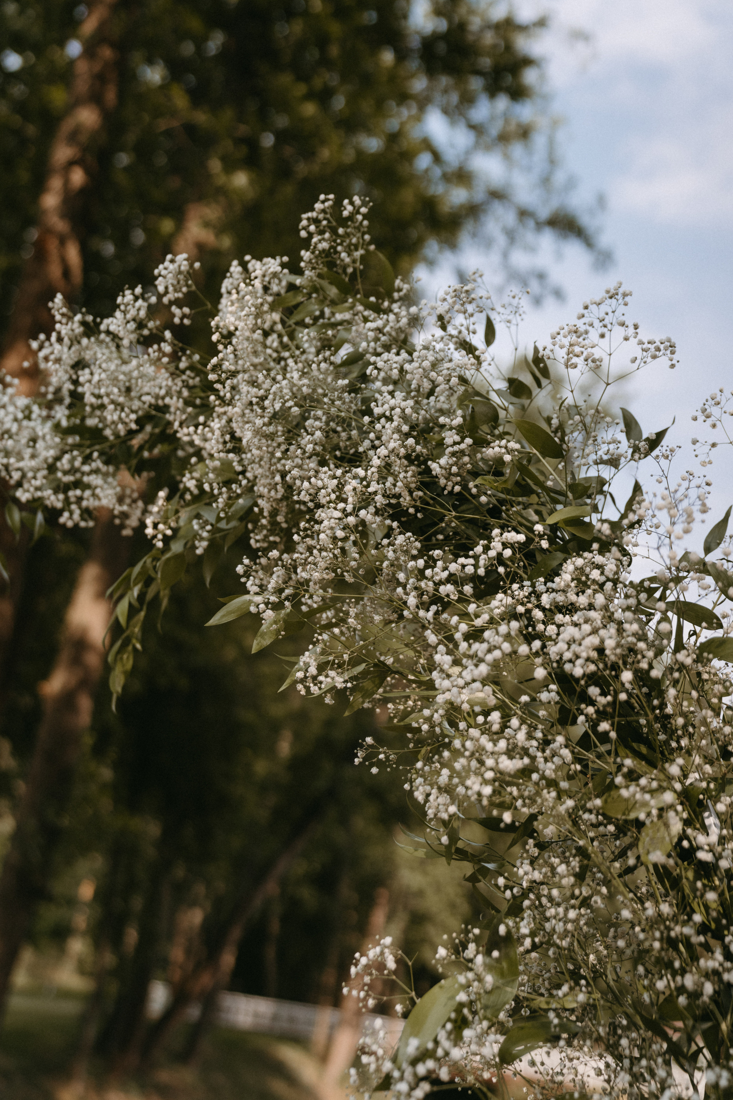 8 июля 2022. Фотограф Наталья Шелест