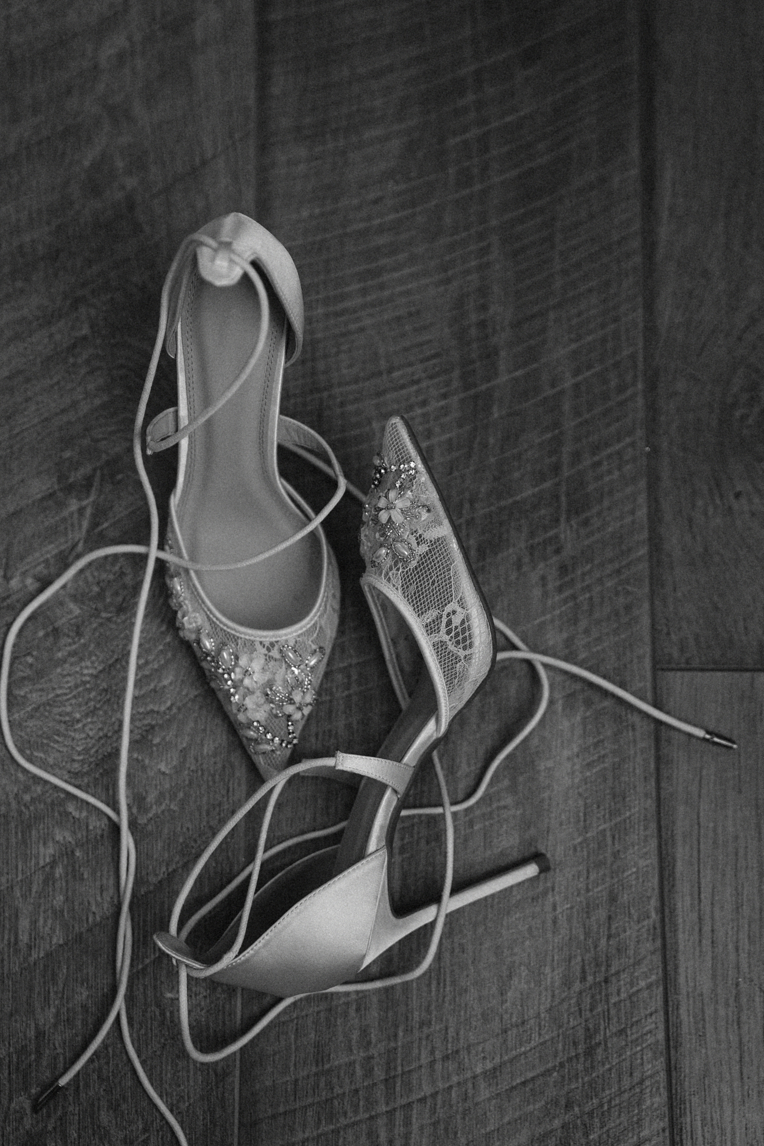 21 августа 2022 full day. Фотограф Наталья Шелест