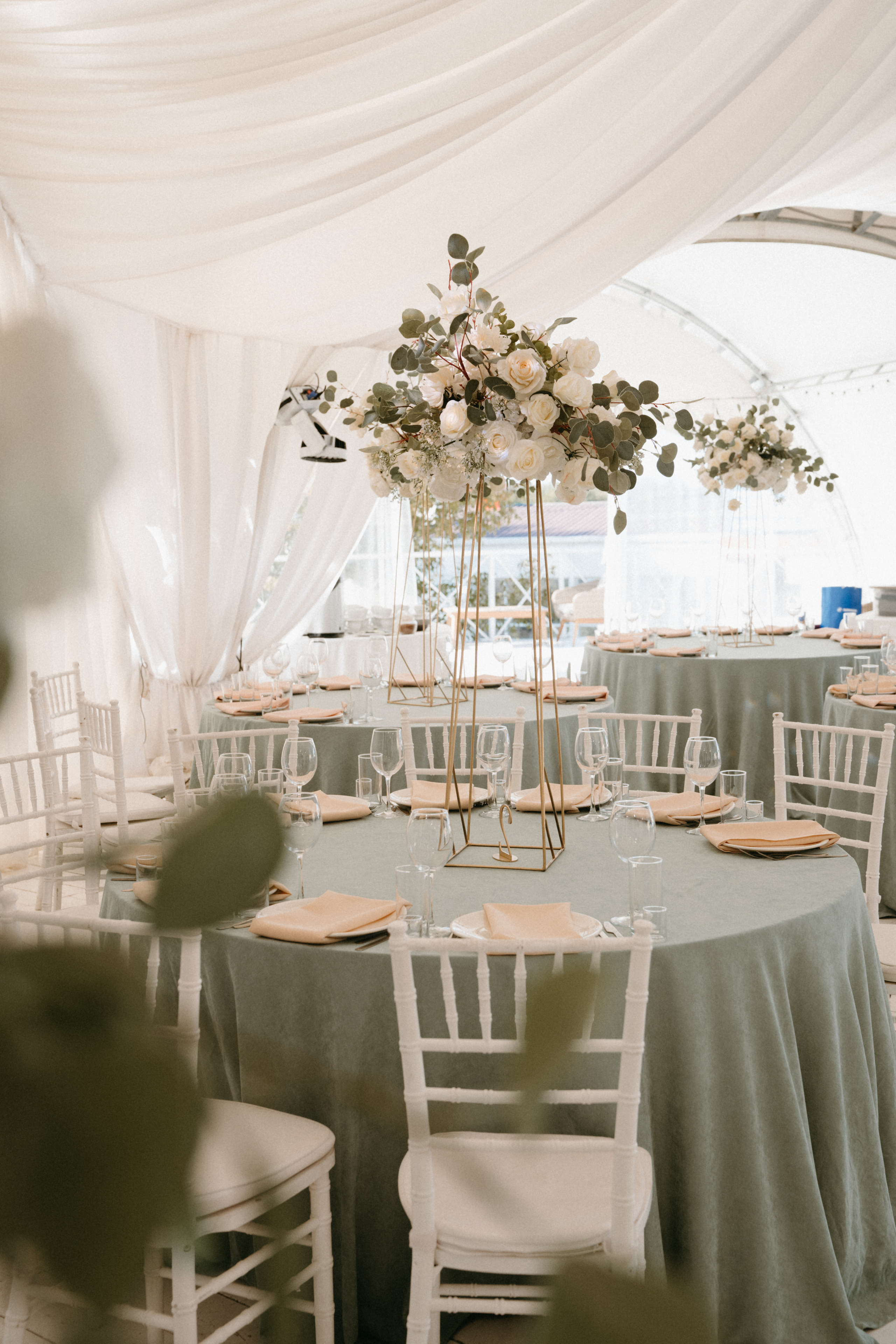 21 августа 2022 full day. Фотограф Наталья Шелест