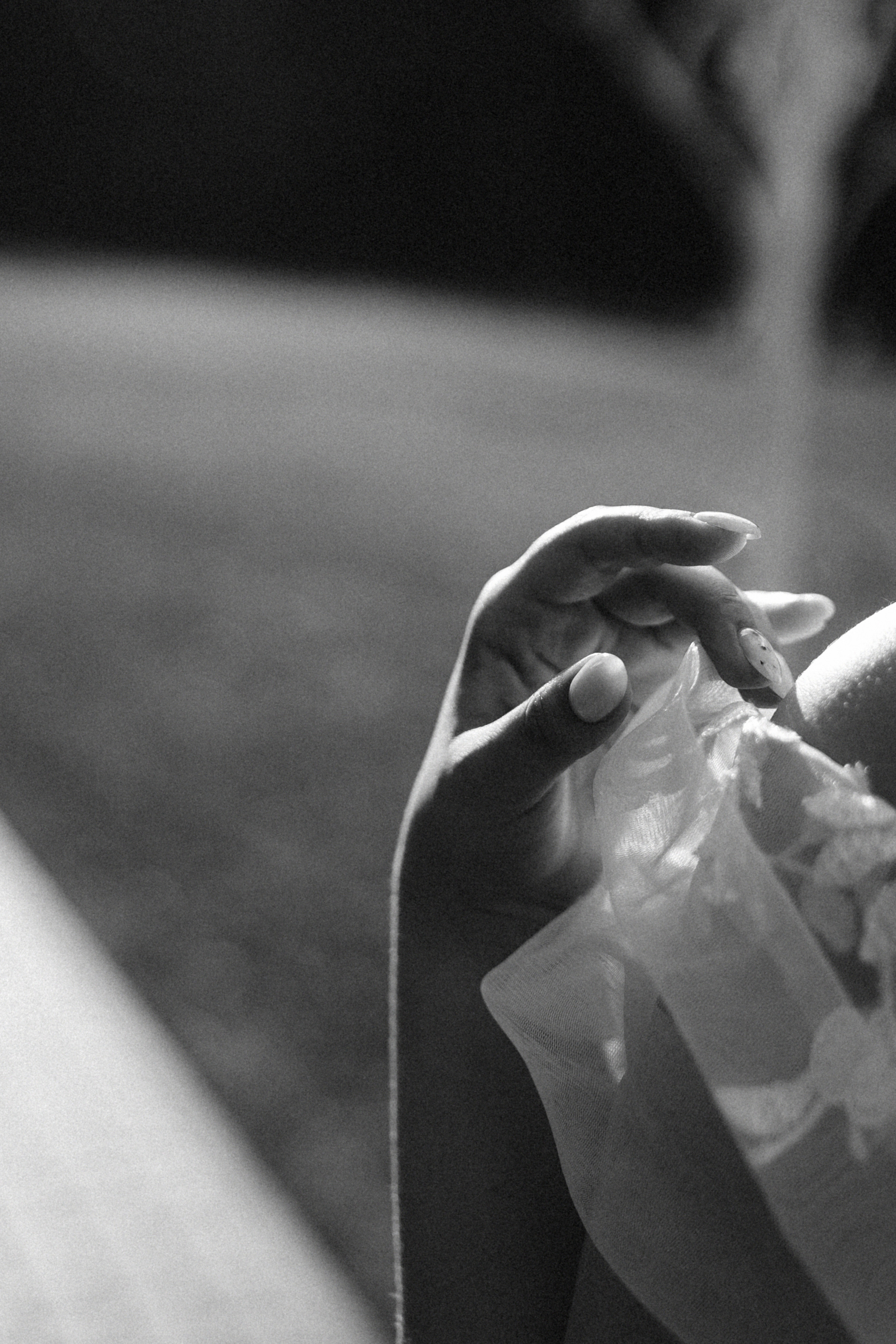 8 июля 2022. Фотограф Наталья Шелест