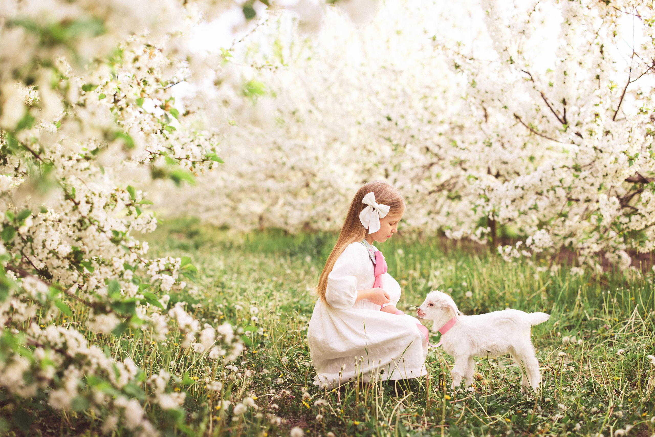 Фотосессия в цветущем саду с козочкой. Семейный и детский фотограф в Краснодаре Анна Трашкова