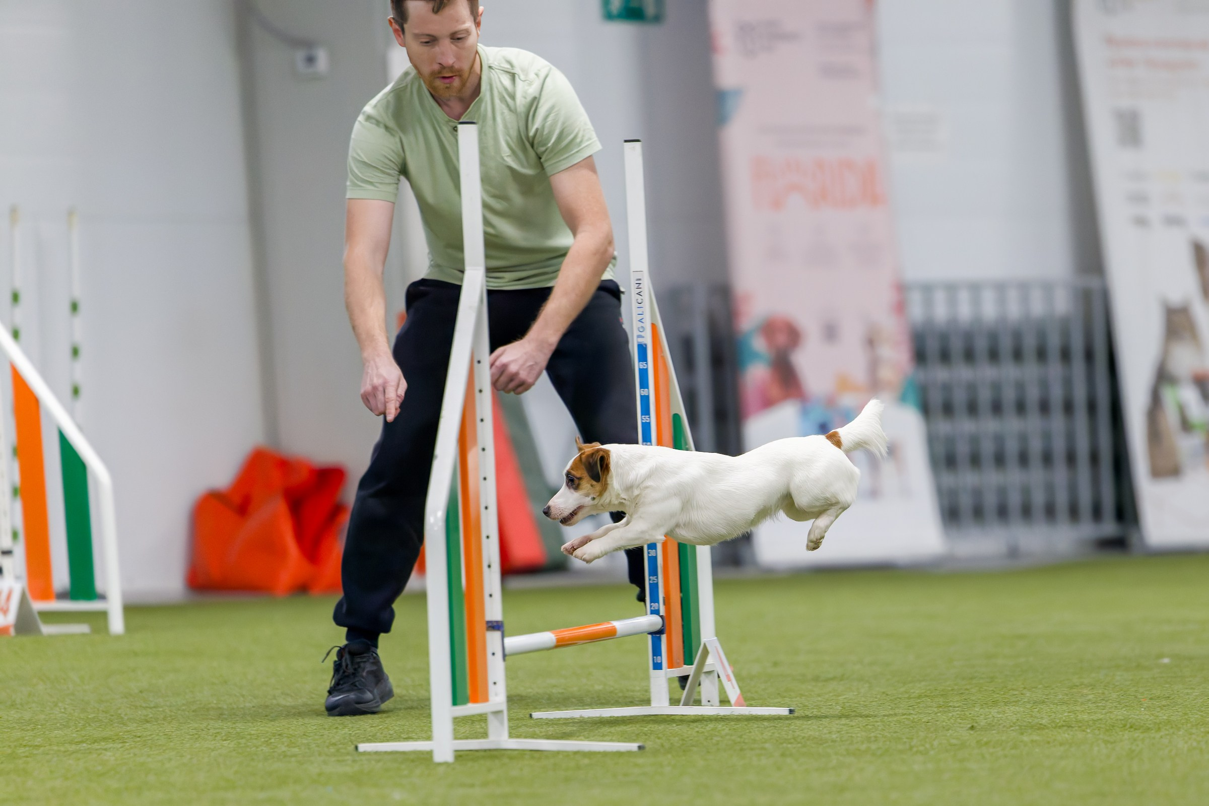 День рождения Пёсбурга — февраль 2025. Irenephoto.ru