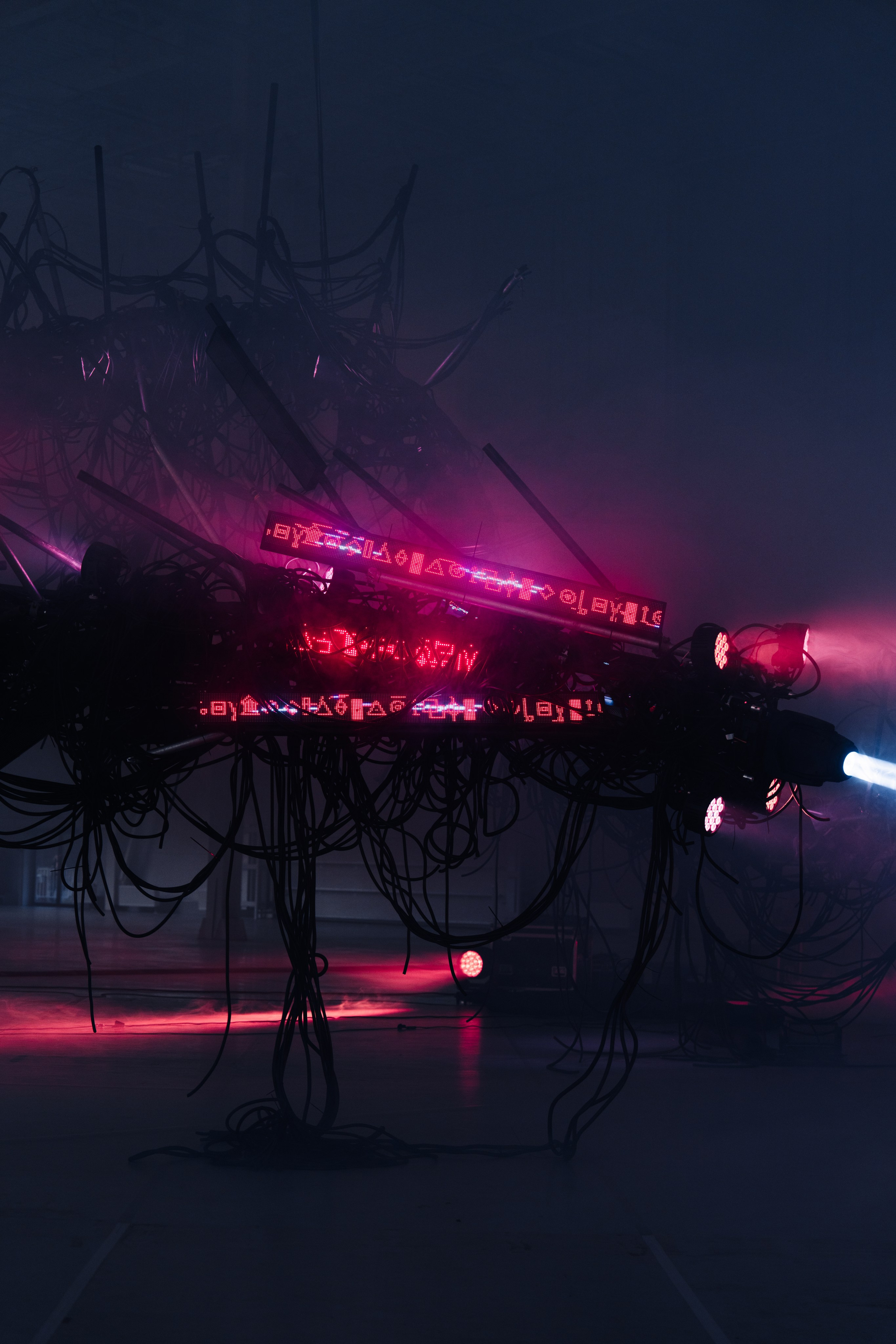 PANTERRA, CHRONOMORPH 001. @tomrus: Рустам Шагиморданов — фотограф