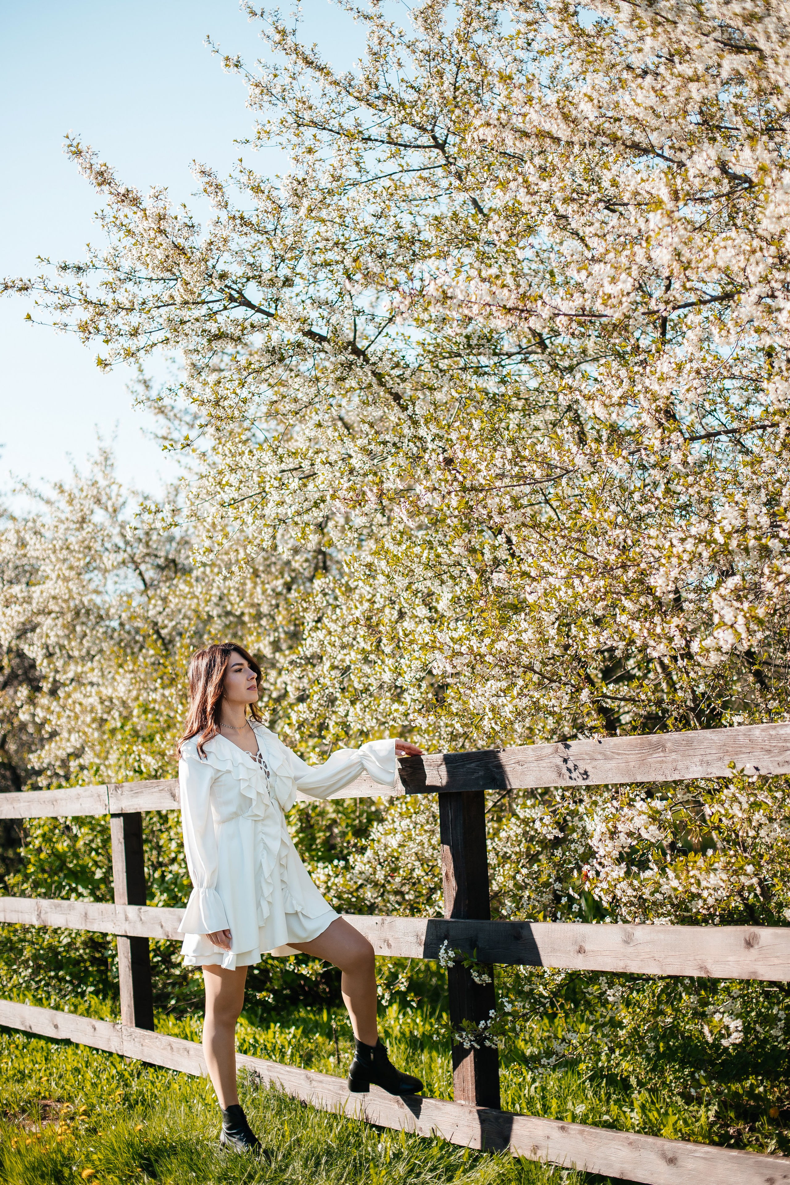 Вишня. Анастасия Давыдова