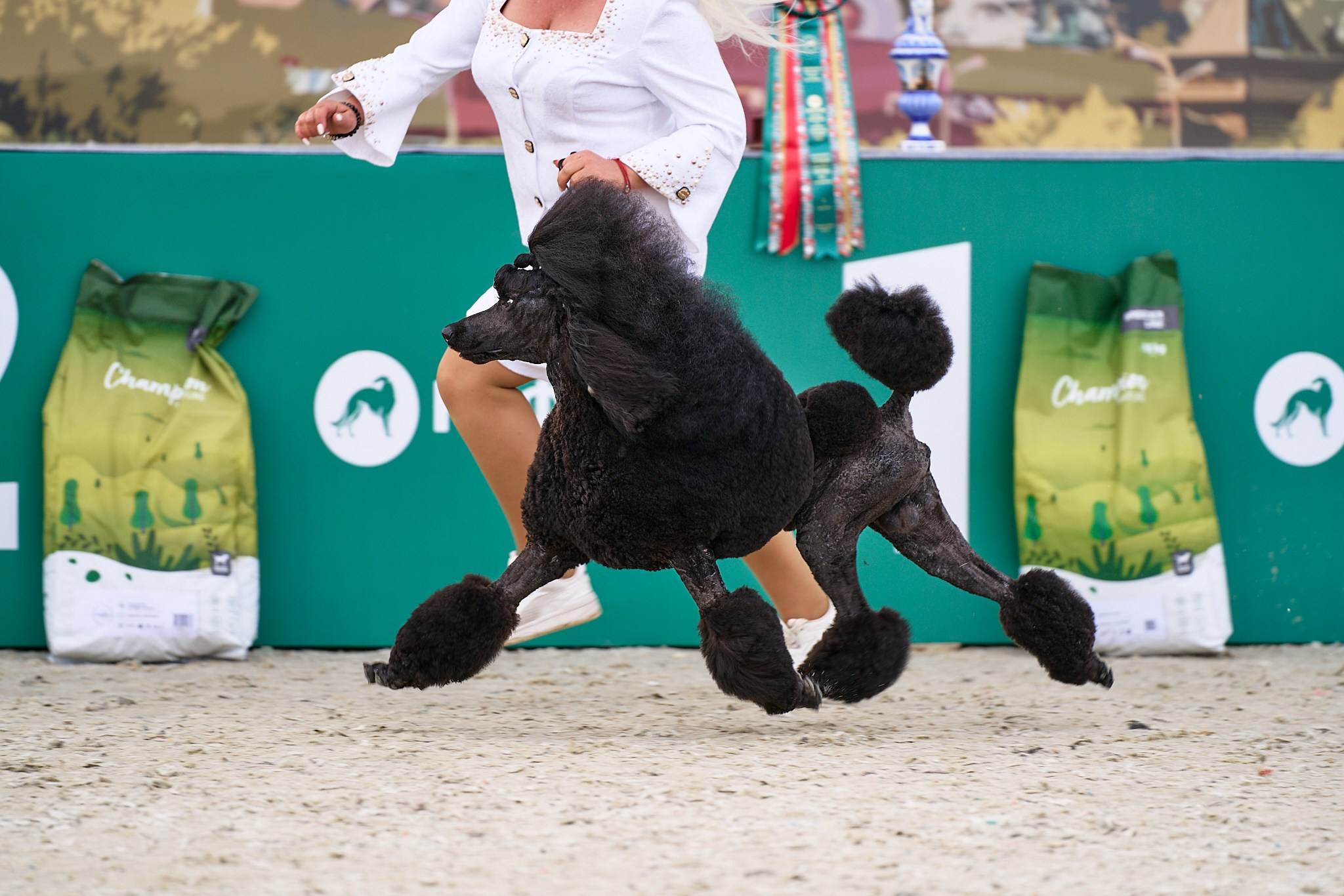 09.06.2024, «РОССИЯ. КУБОК МОСКВЫ 2024 & КУБОК ГОРОДОВ-ГЕРОЕВ»