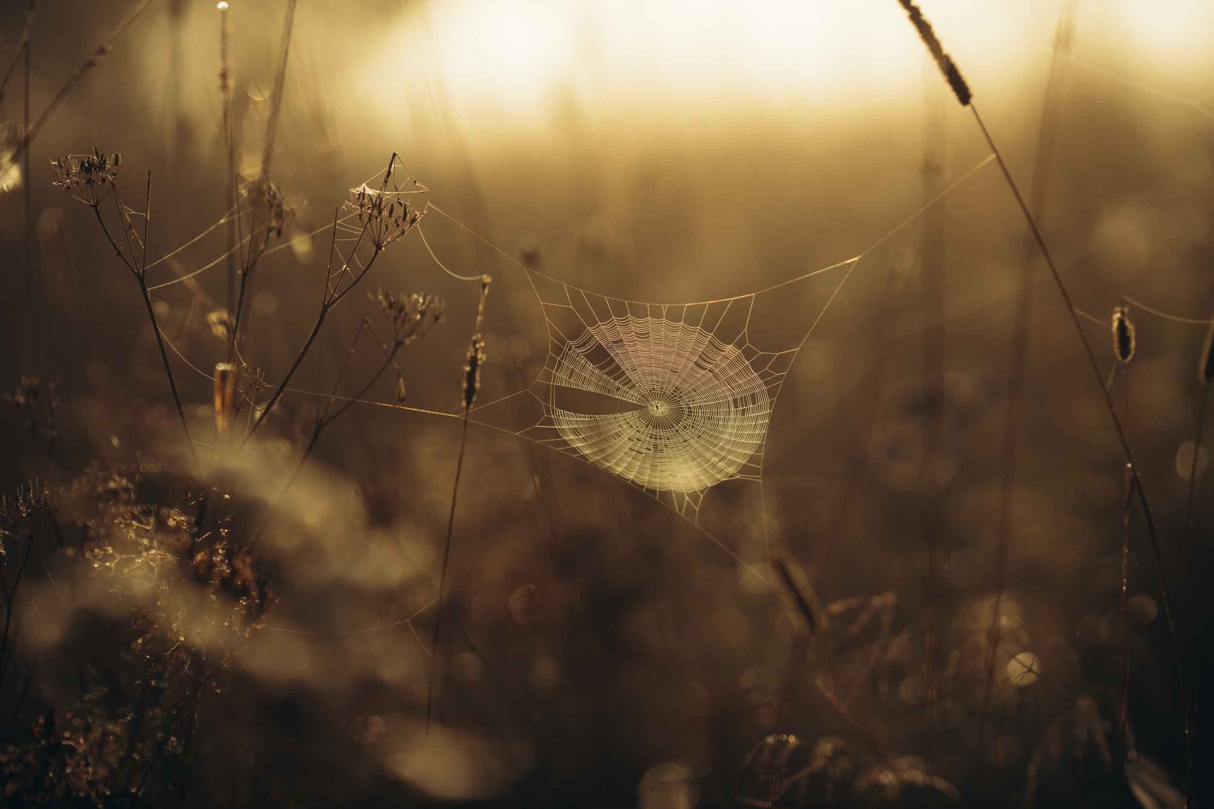 Природные пейзажи. Наталия Клевинскас портретный фотограф в Костроме