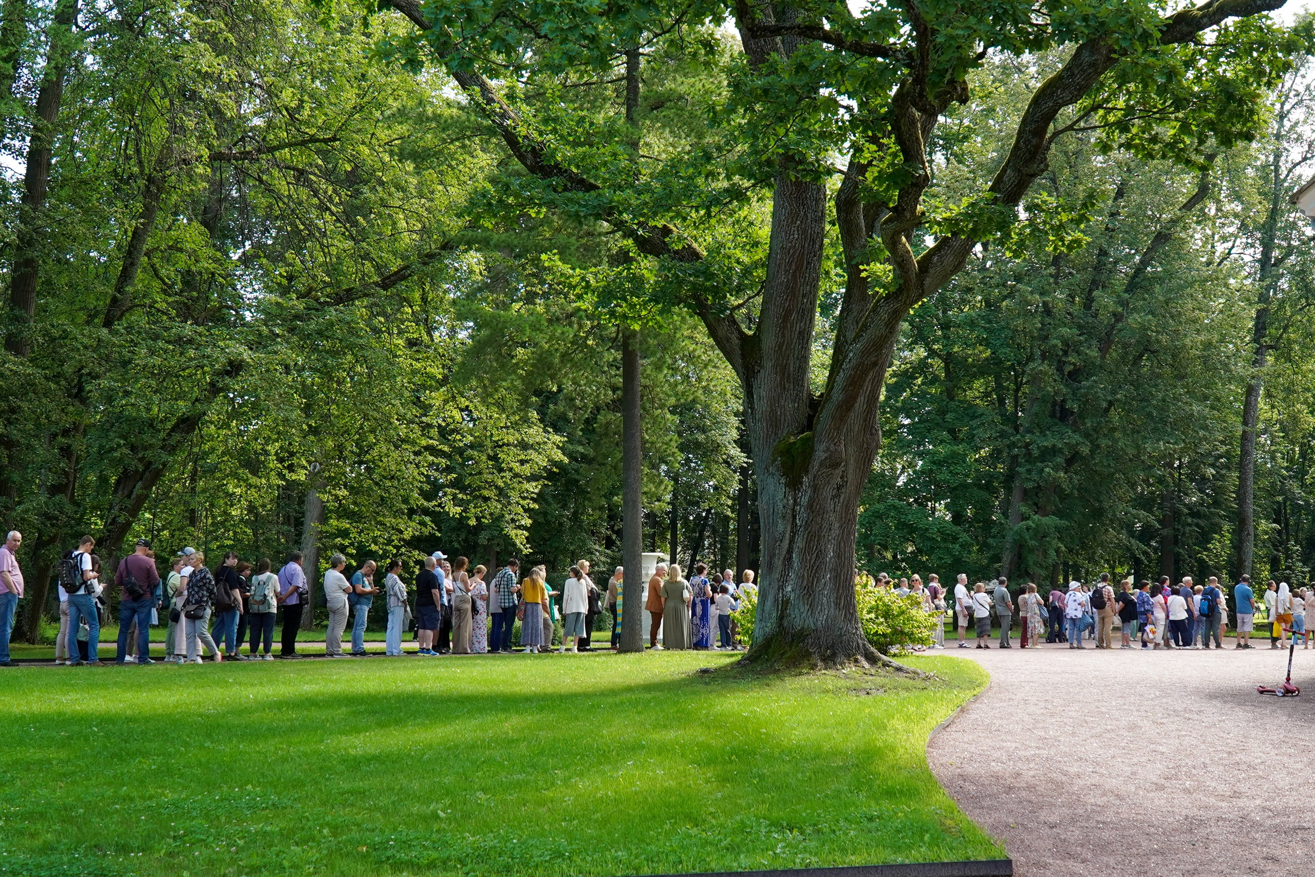 ОРАНИЕНБАУМ. Июль 2024. Фотограф Наталья Погодина в г. Обнинске