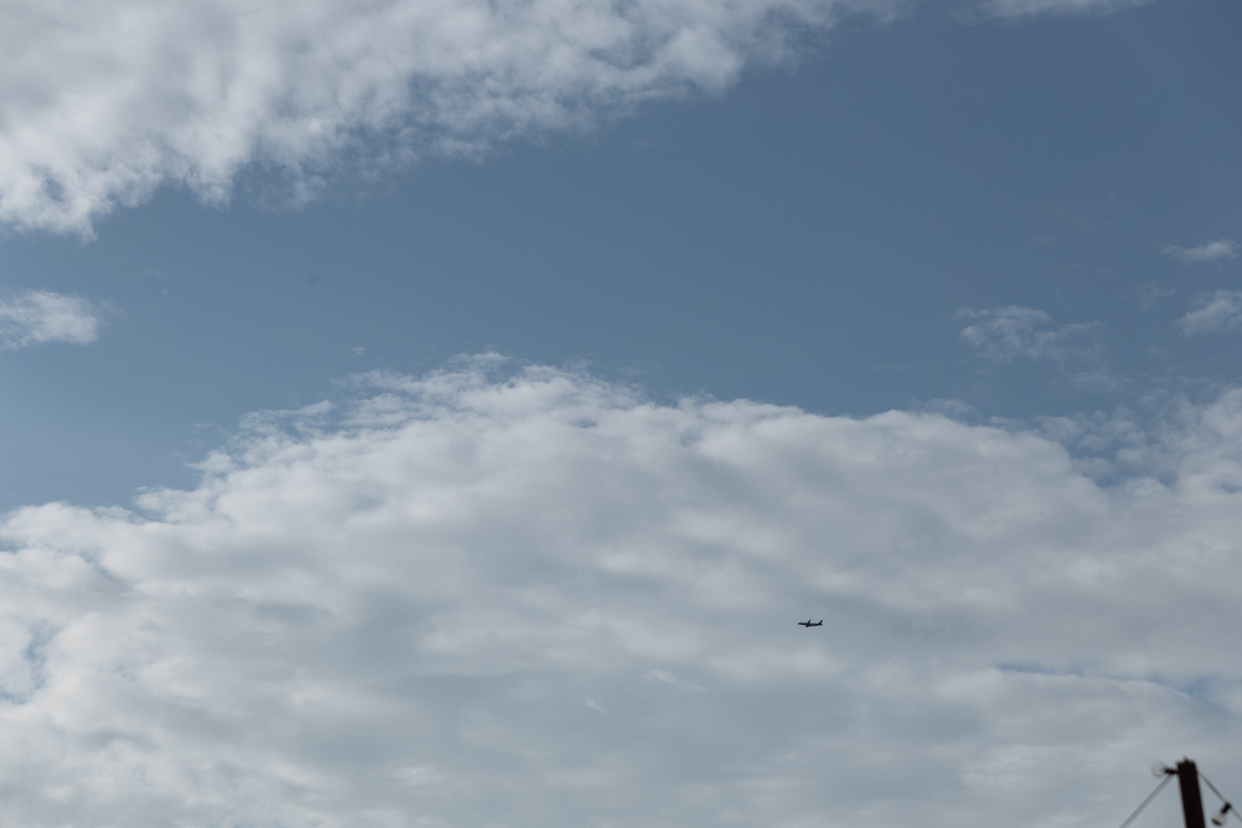 Анонс свадьбы Ксюши и Паши