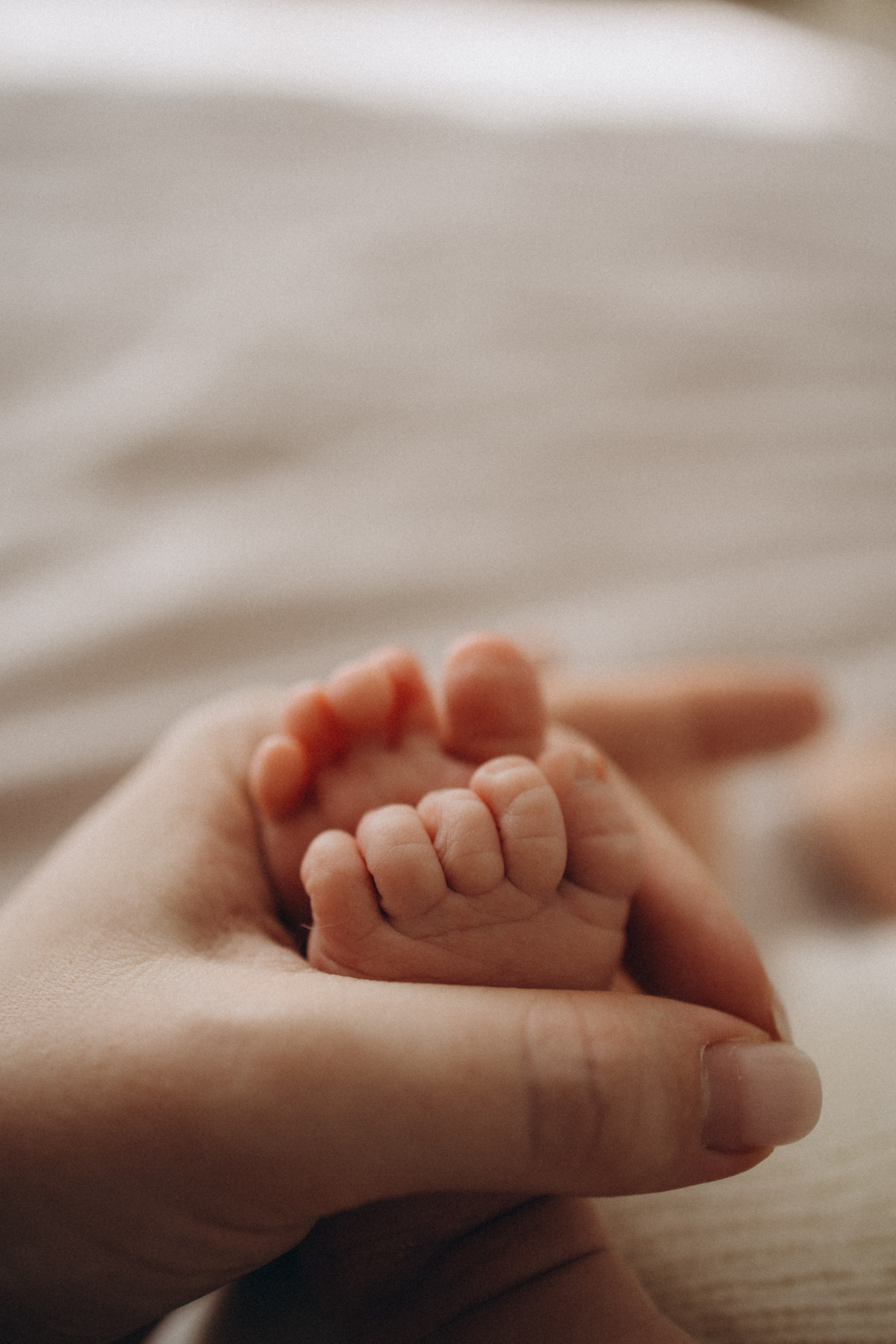 Василиса 23 дня. Фотограф новорождённых Newborn Москва