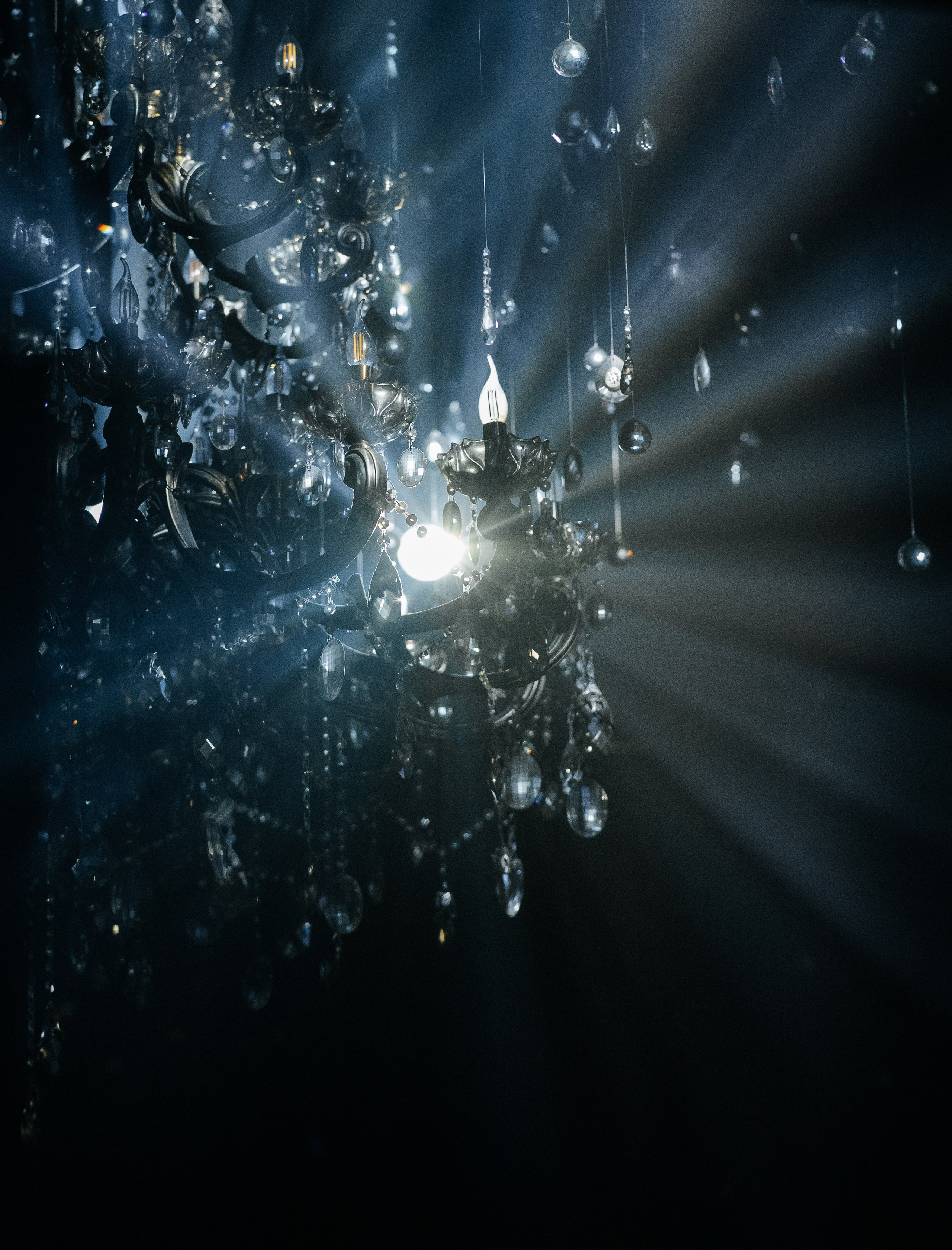 SECRET SHOW. Wedding photographer in Moscow and around the world Andrey Medvednikov